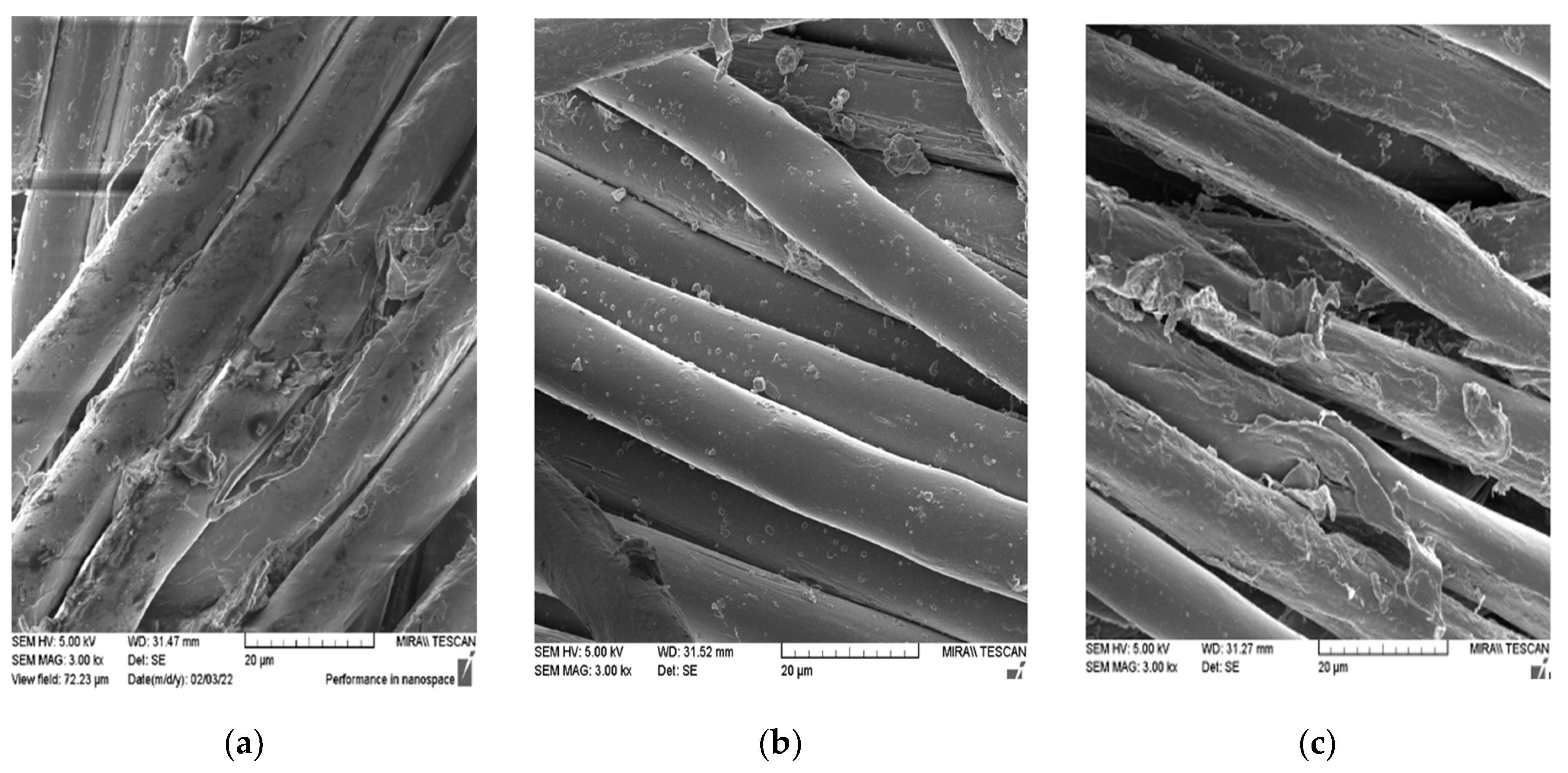 Microplastics 01 00035 g001 550