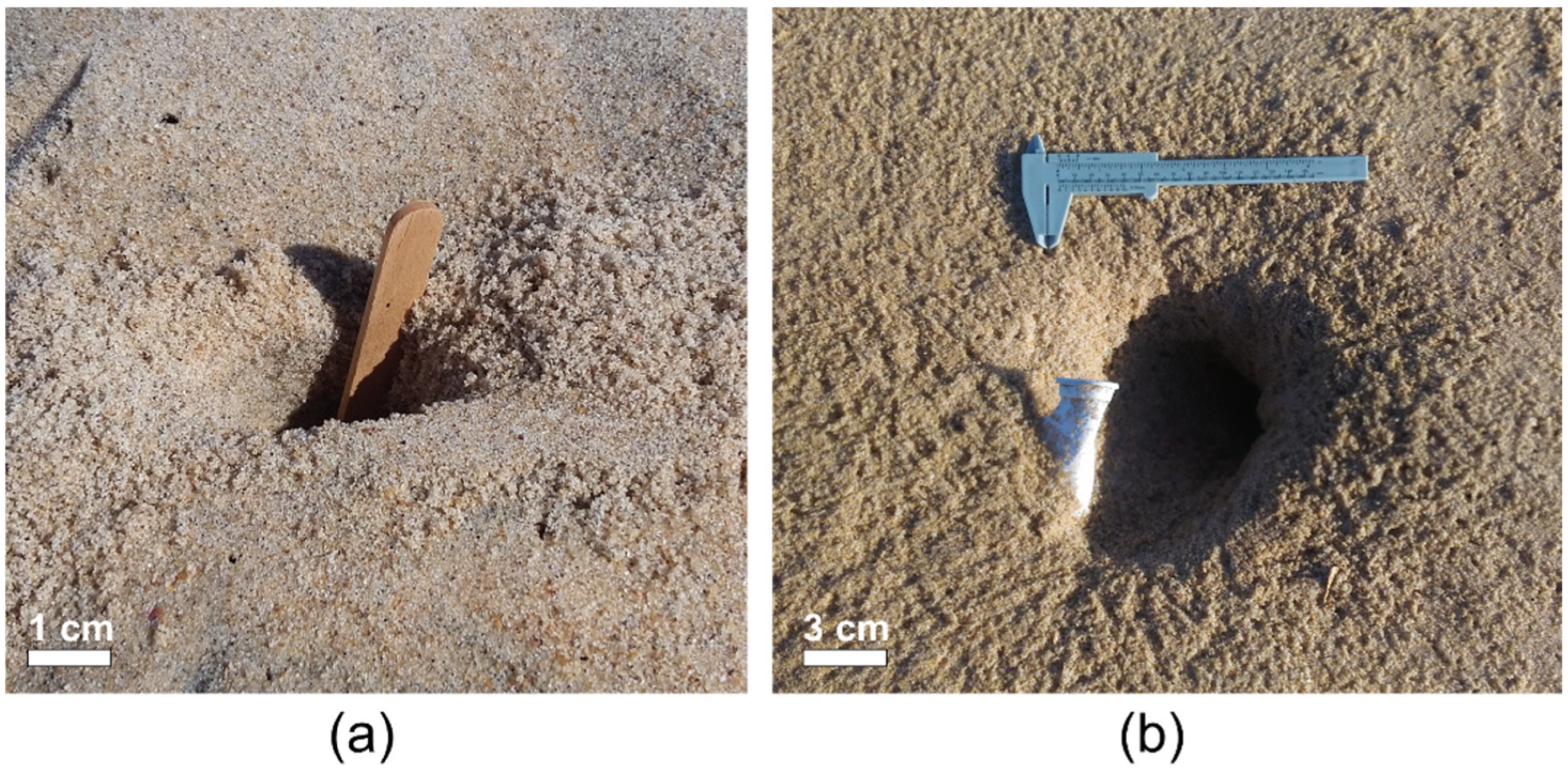 Microplastics 01 00039 g001