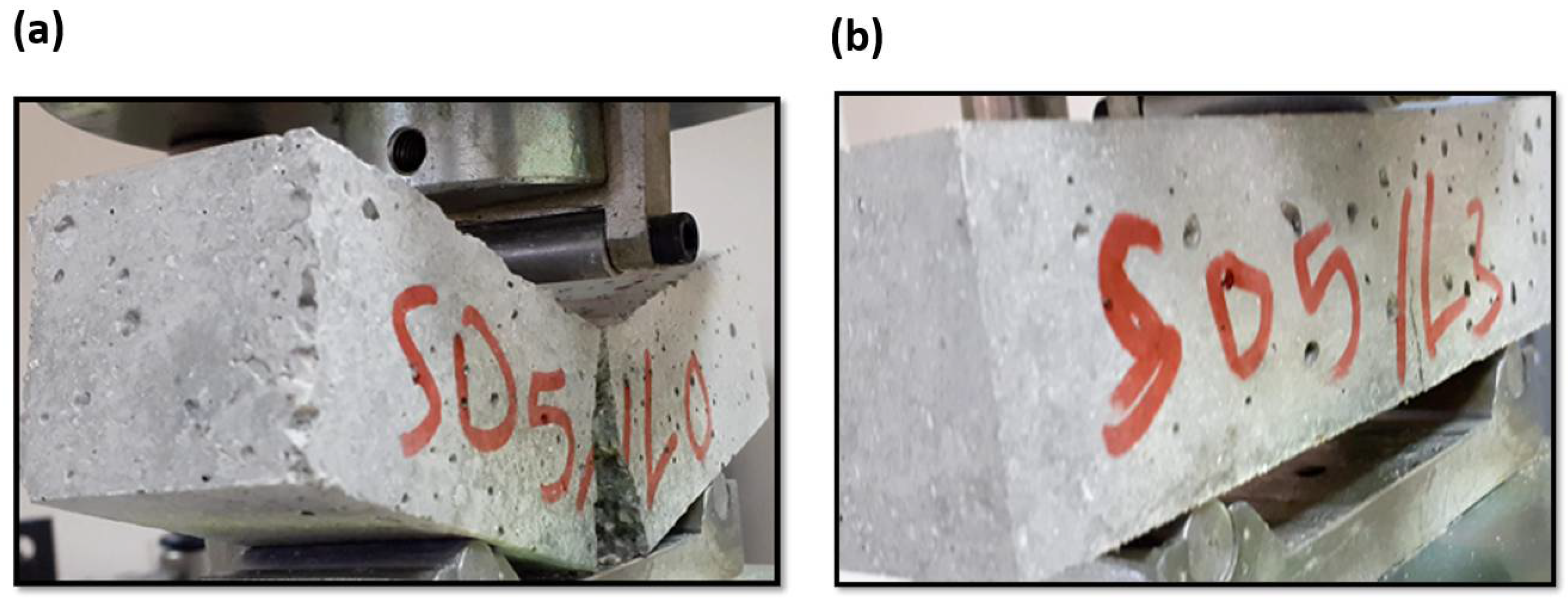 Microplastics 01 00041 g012