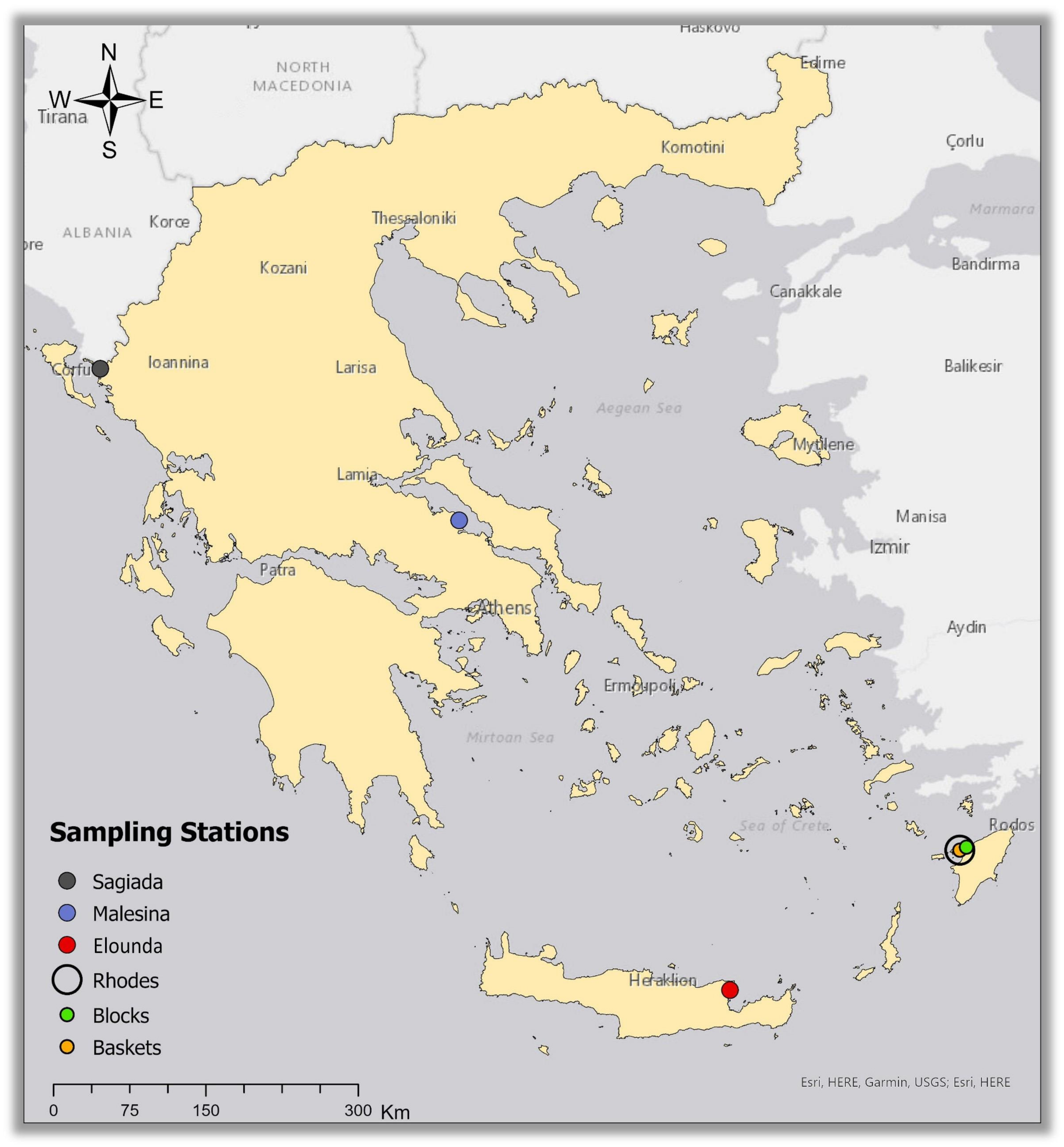 Microplastics 02 00013 g001