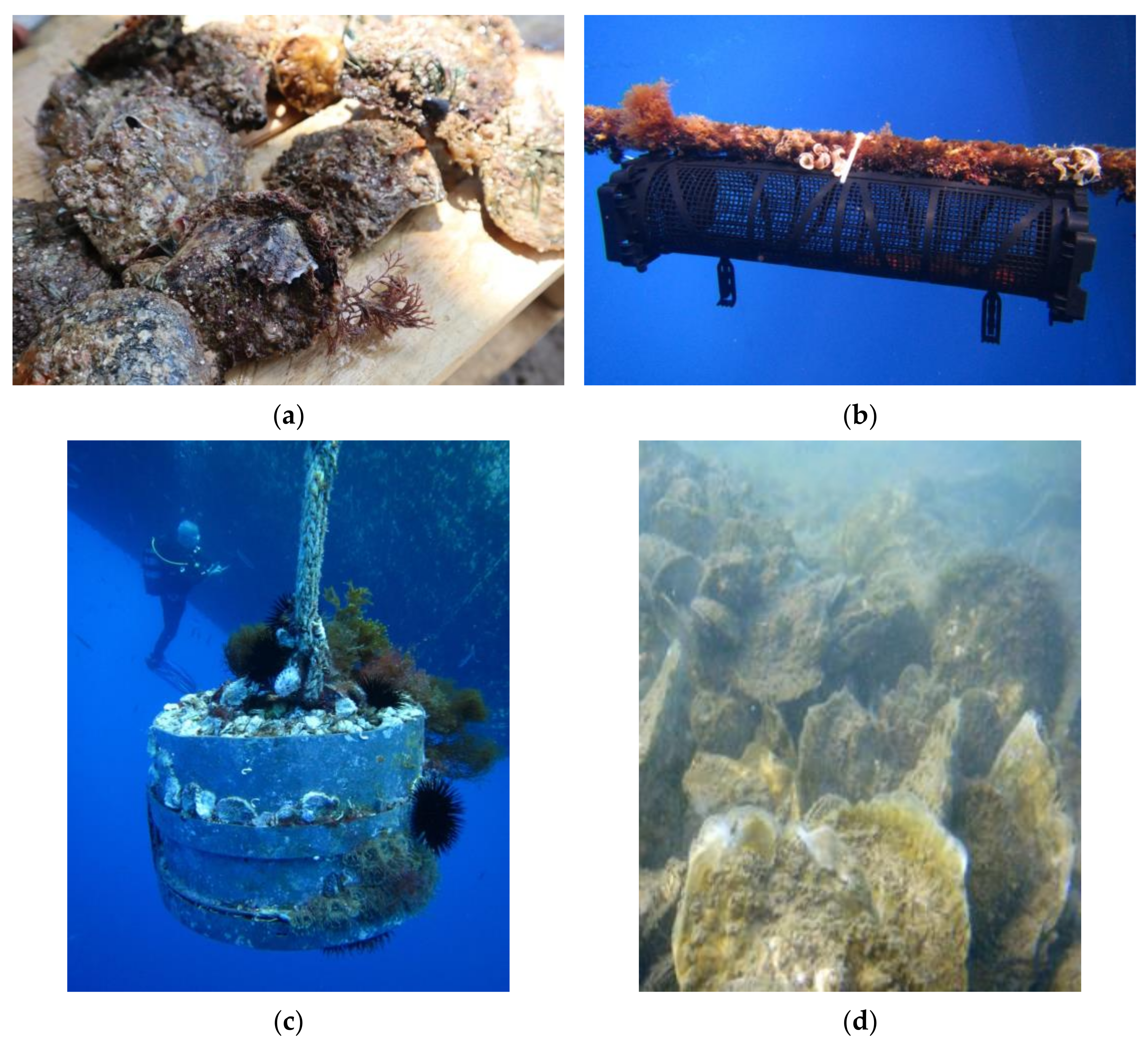 Microplastics 02 00013 g003