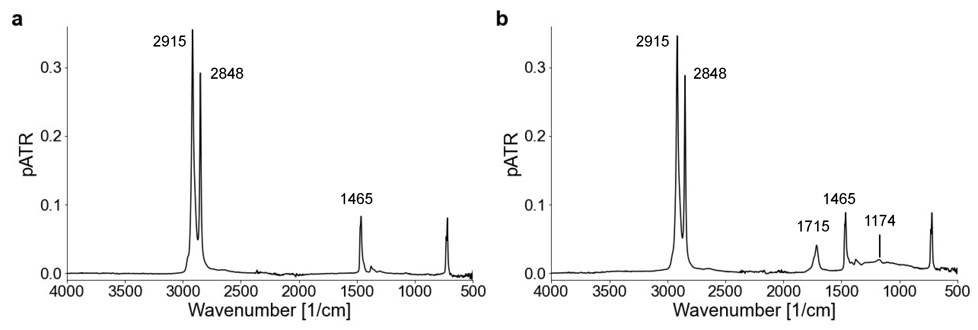 Microplastics 02 00015 g001