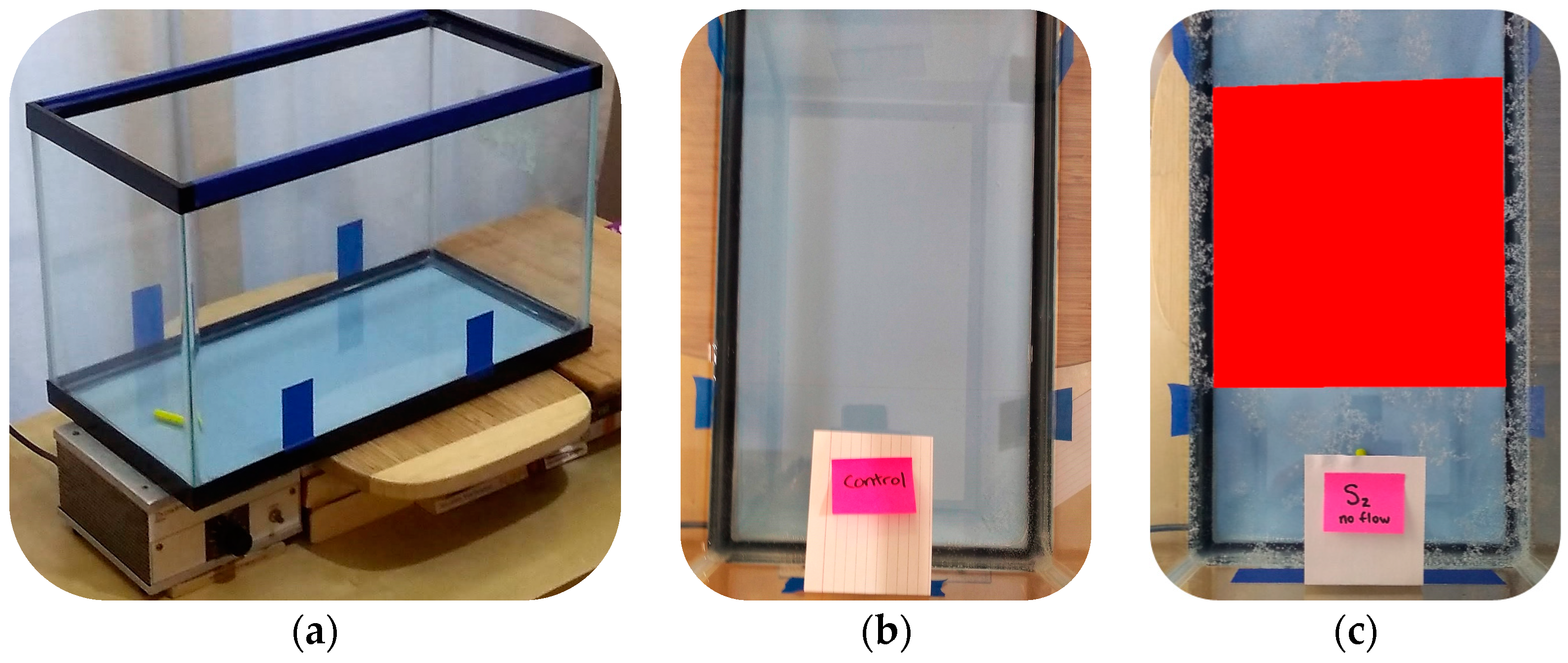Microplastics 02 00022 g001