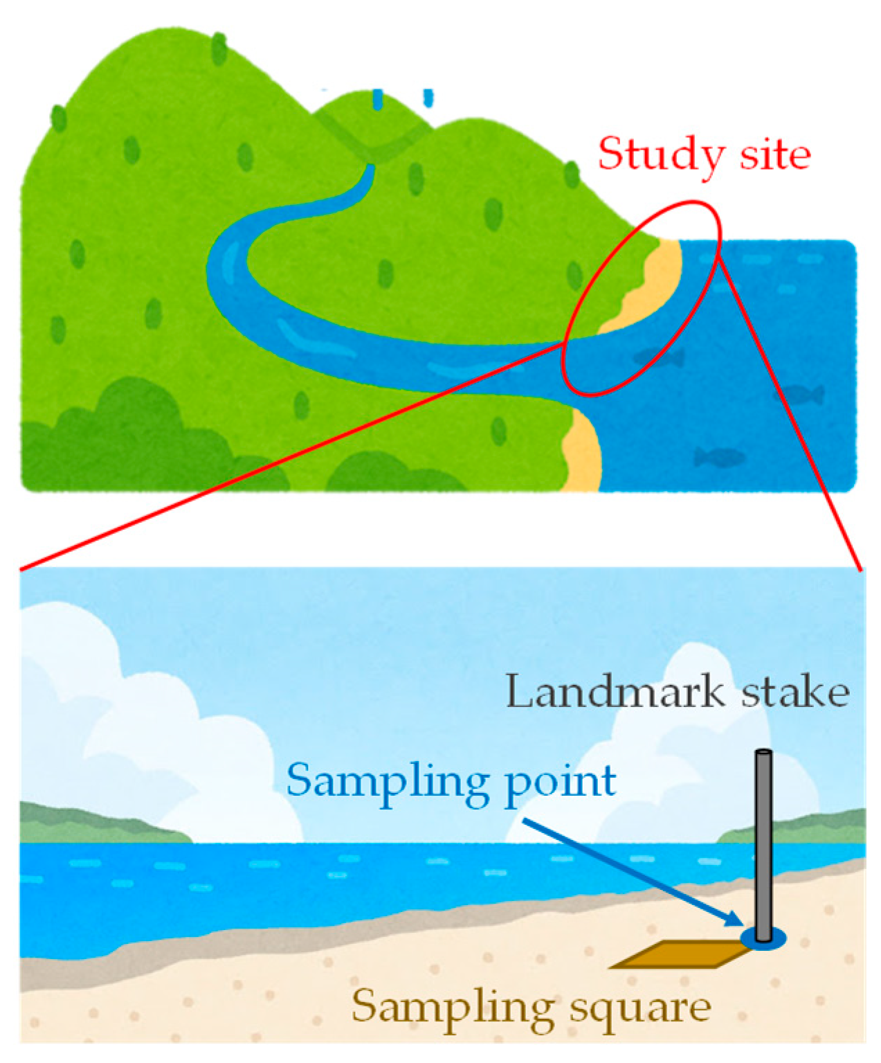 Microplastics 02 00024 g001