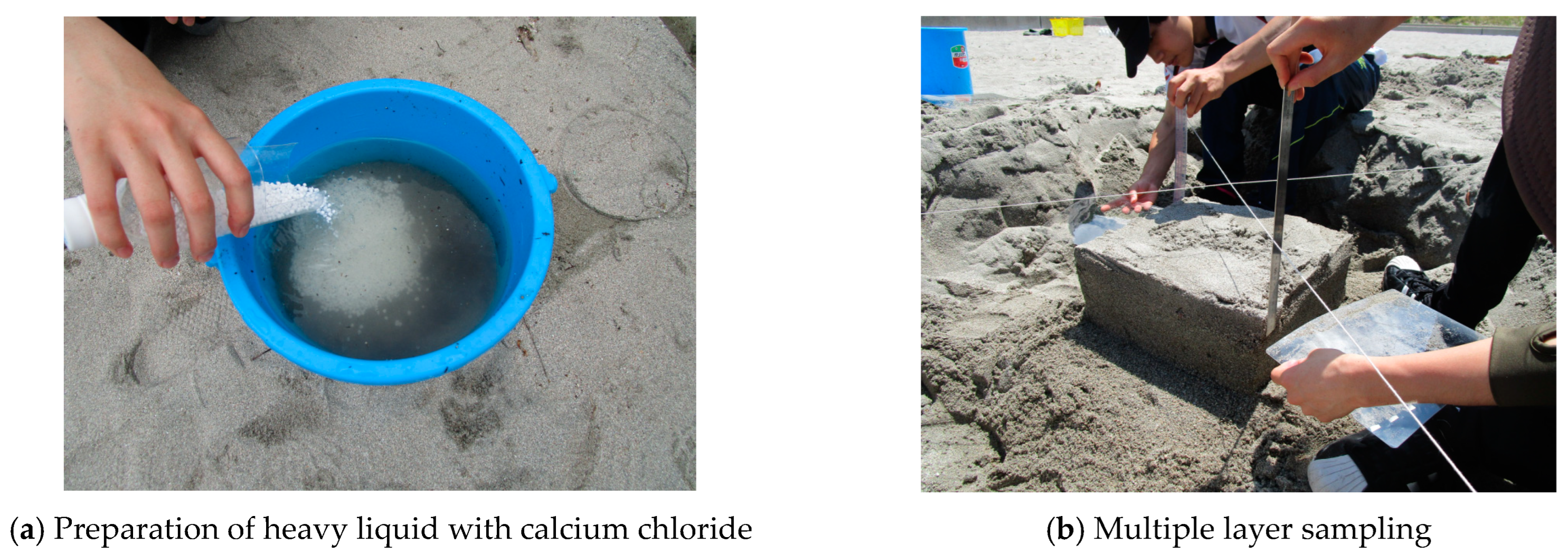 Microplastics 02 00024 g005a