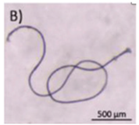 Microplastics 03 00007 i002