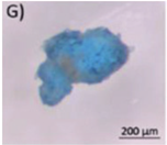 Microplastics 03 00007 i007