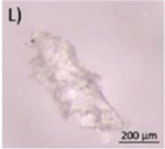 Microplastics 03 00007 i012