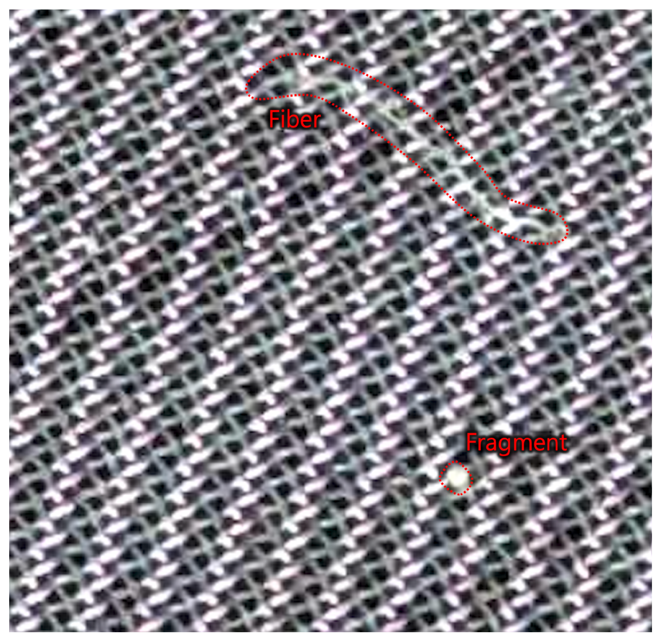 Microplastics 03 00016 g003