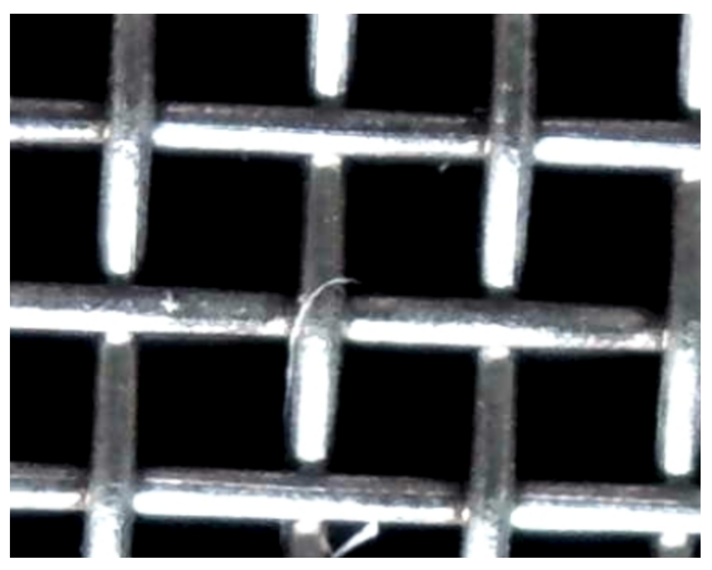 Microplastics 03 00016 g007