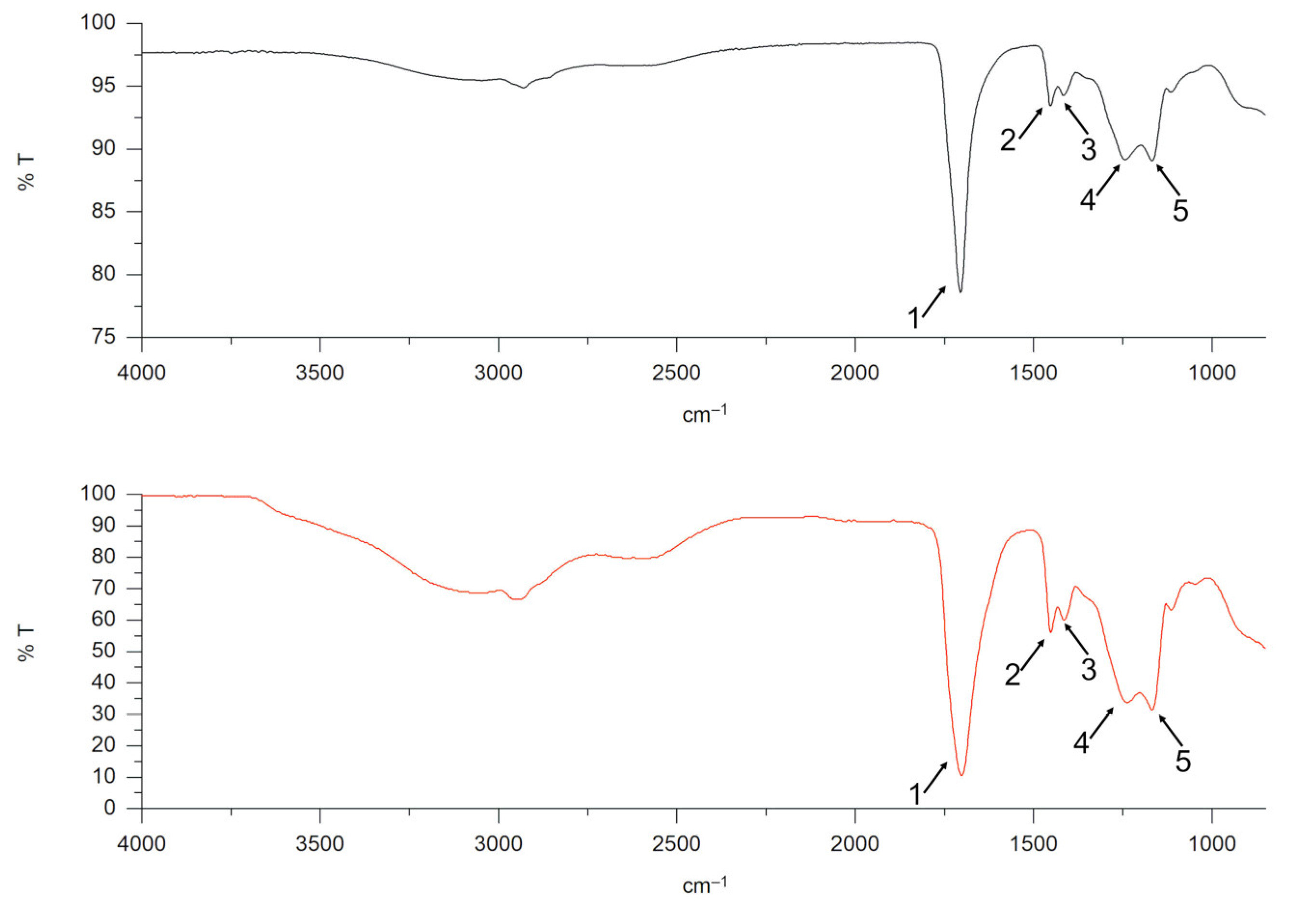 Microplastics 03 00024 g001