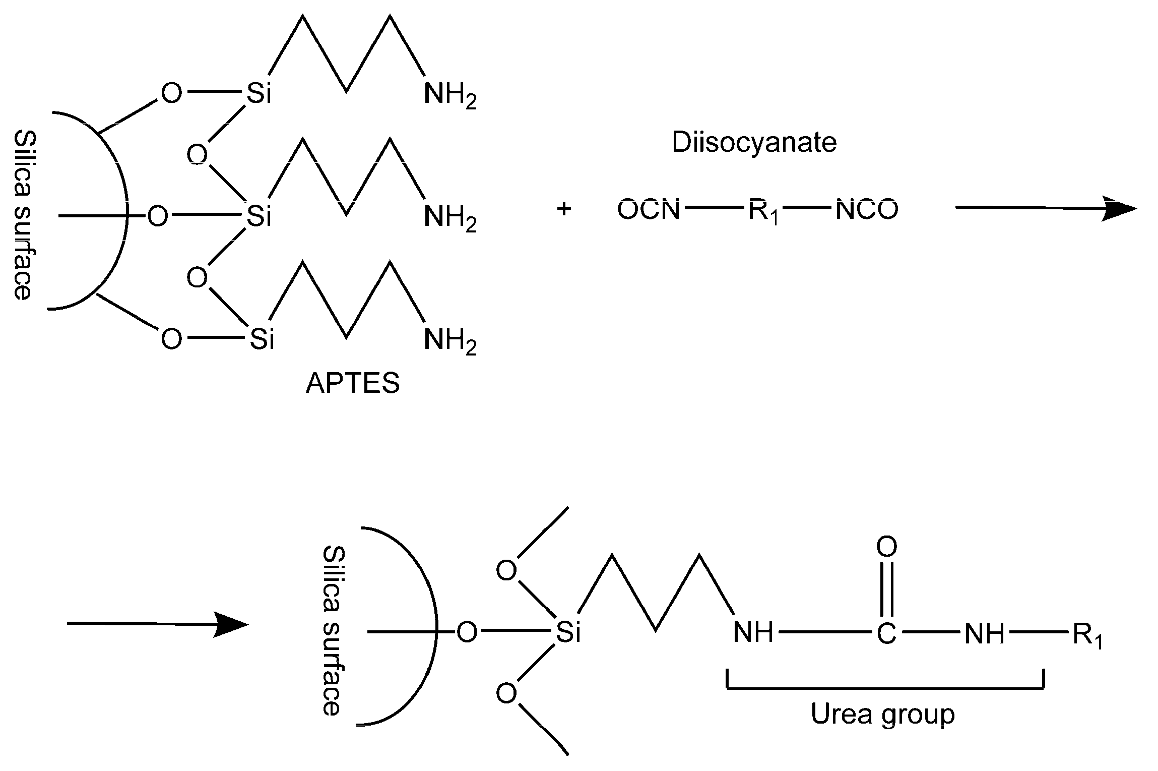 Microplastics 03 00027 g001