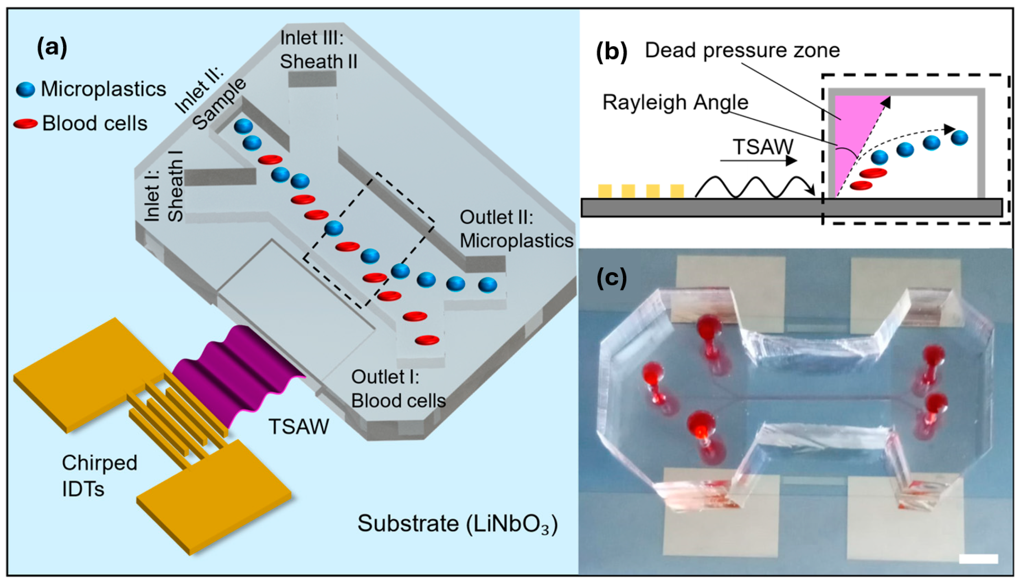 Microplastics 03 00028 g001