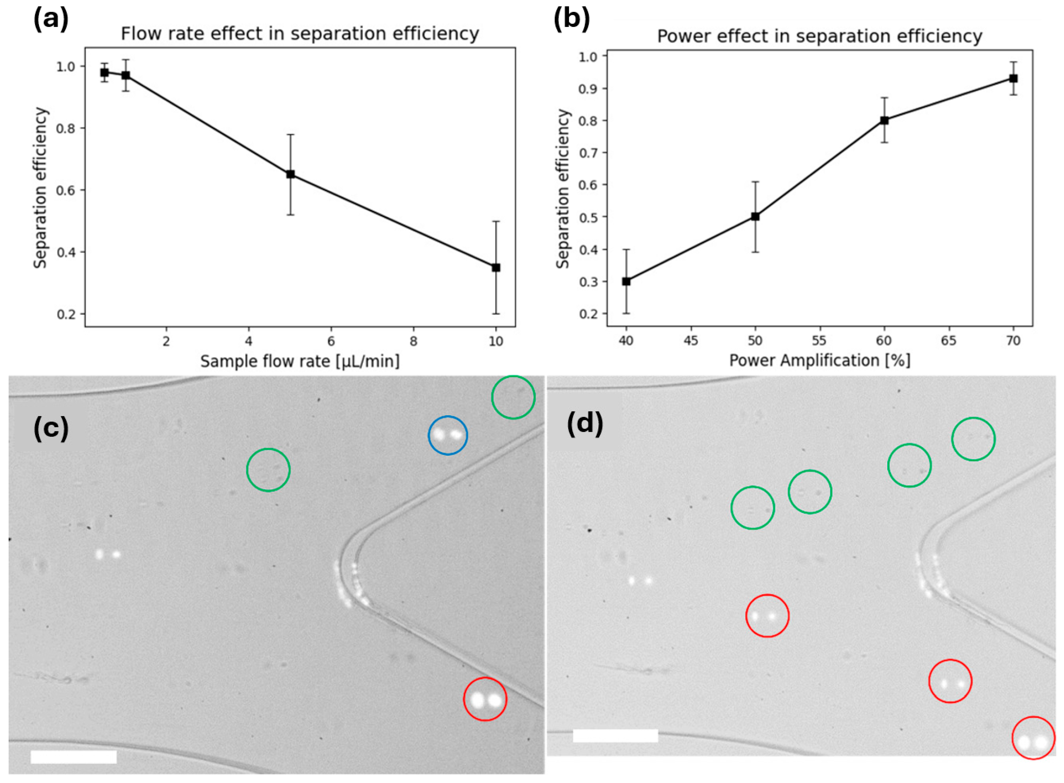 Microplastics 03 00028 g004