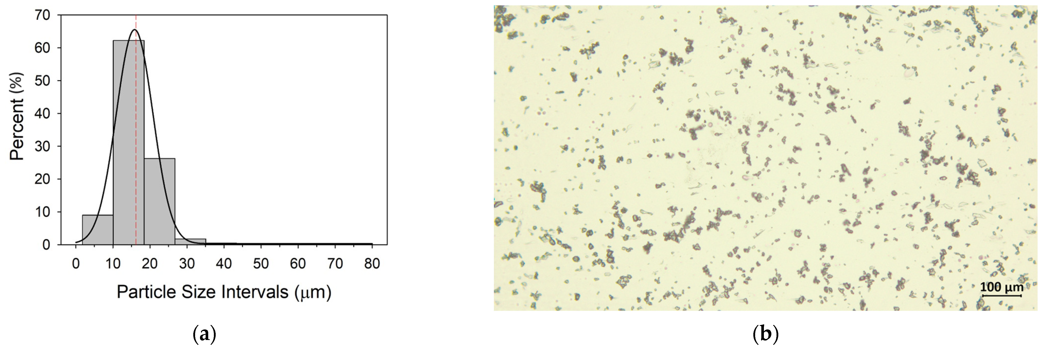 Microplastics 03 00029 g001