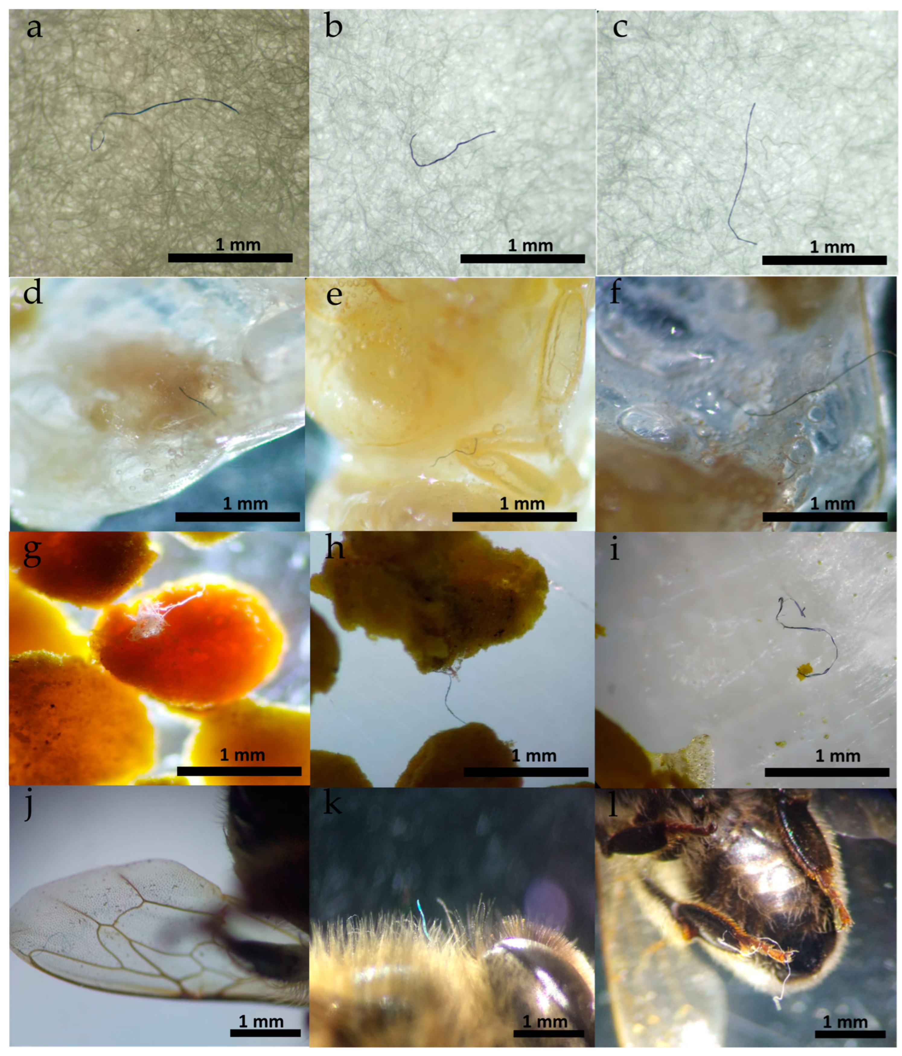 Microplastics 03 00036 g002