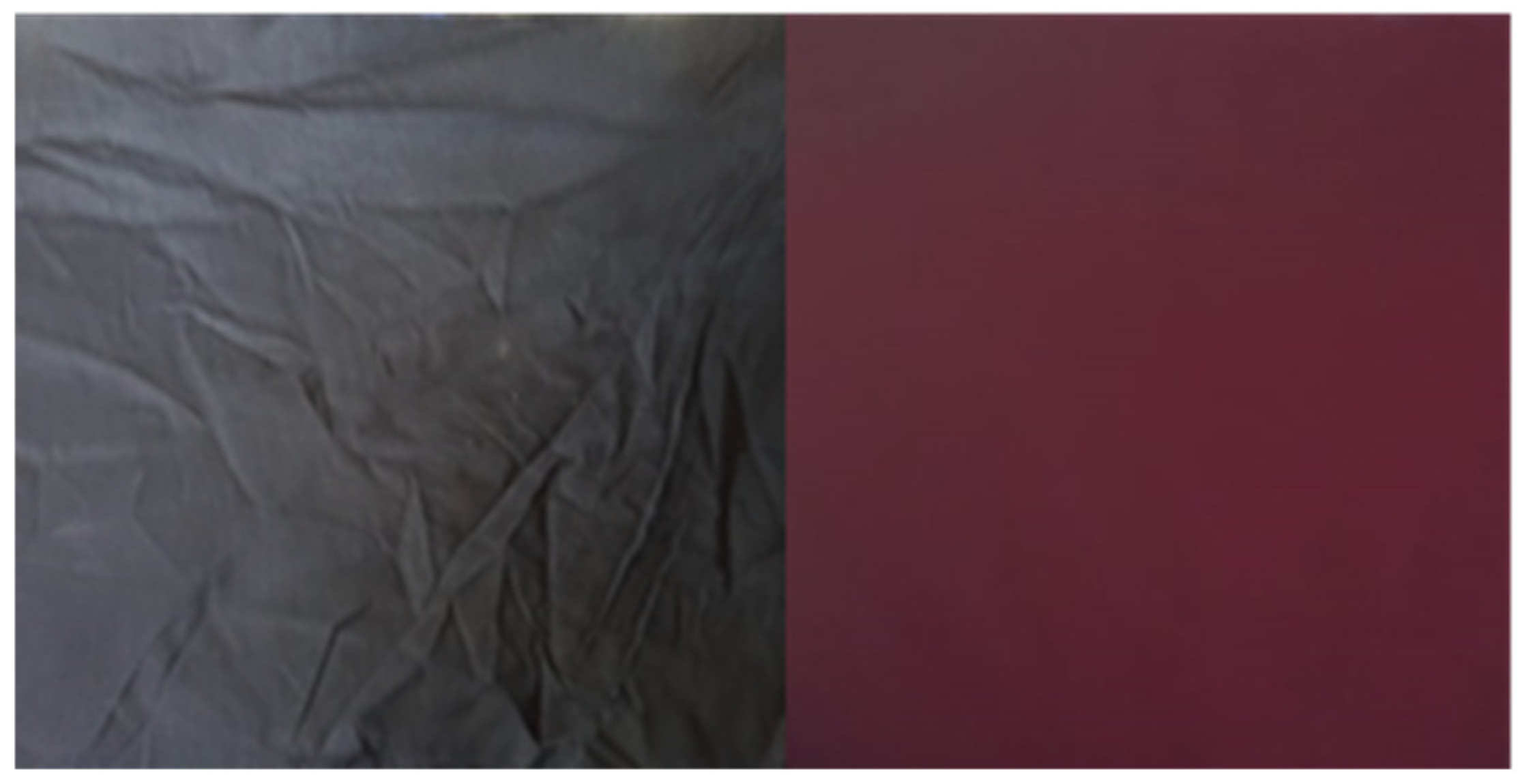 Microplastics 03 00037 g001