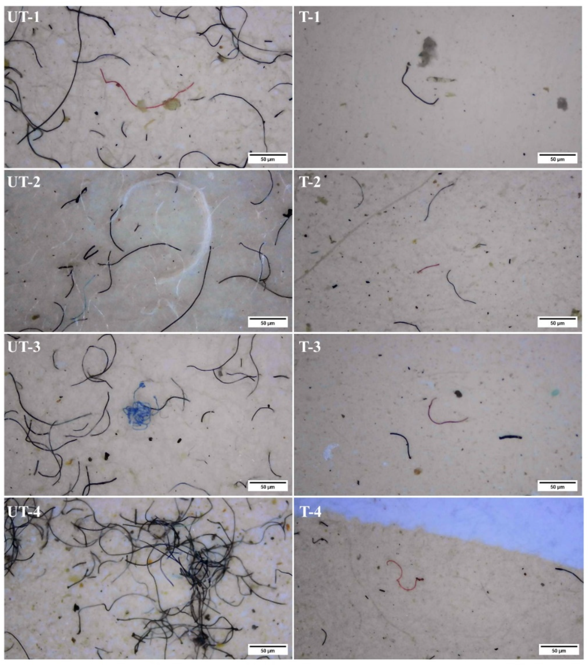 Microplastics 03 00037 g004