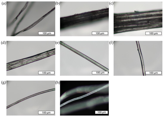 Evaluation of Length and Fiber Count Determinations for Natural and ...