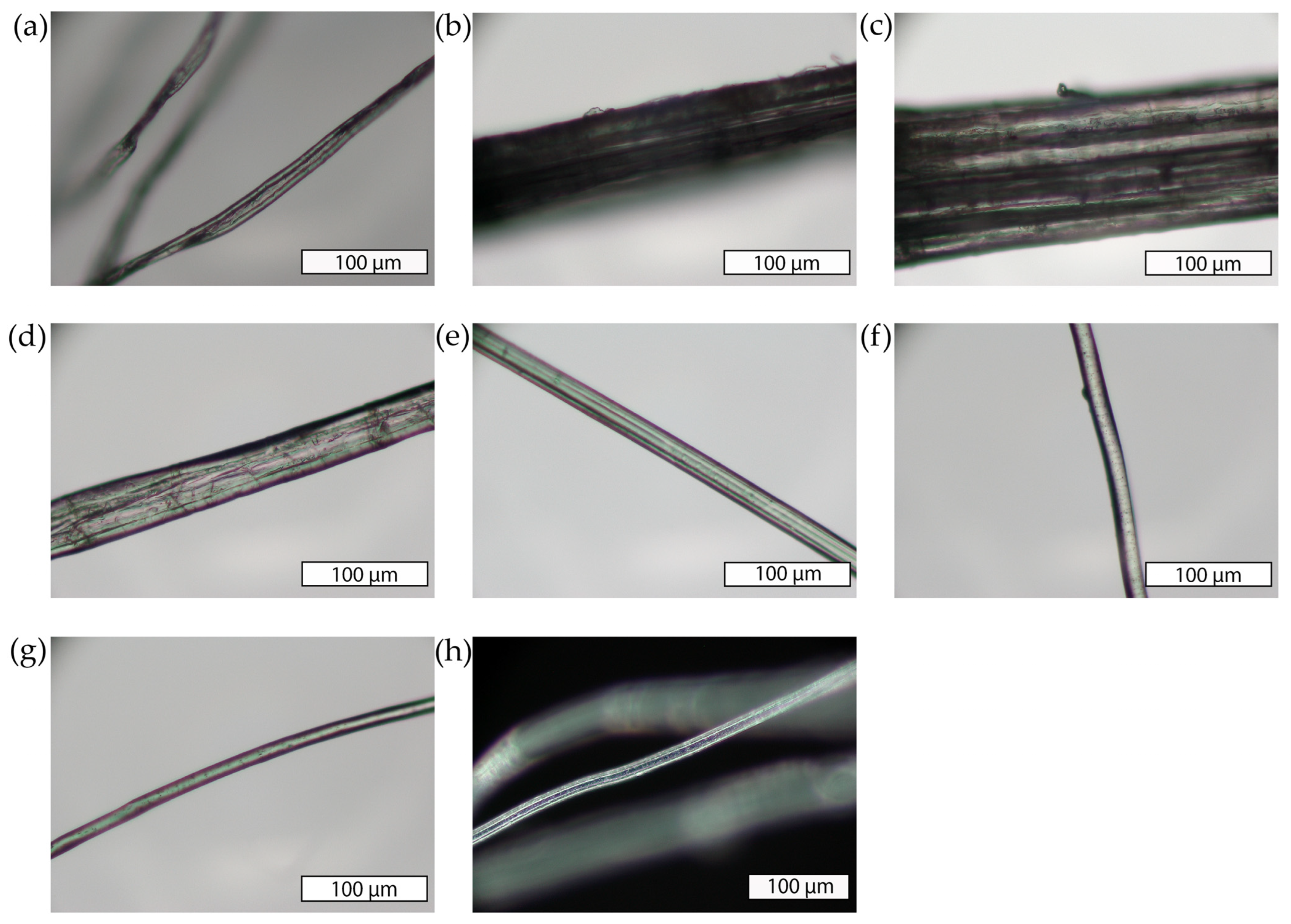 Microplastics 03 00045 g001