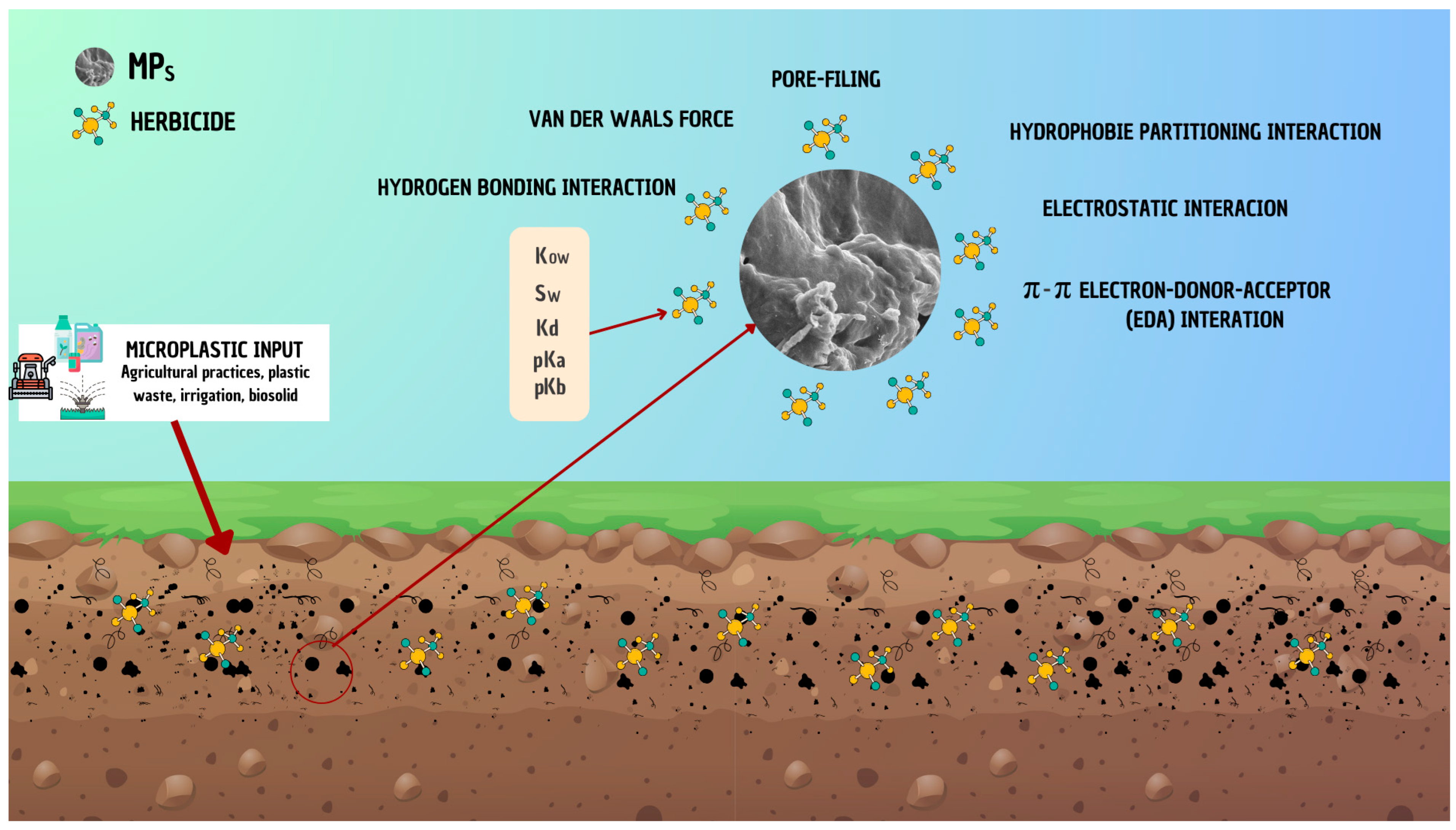 Microplastics 03 00048 g007
