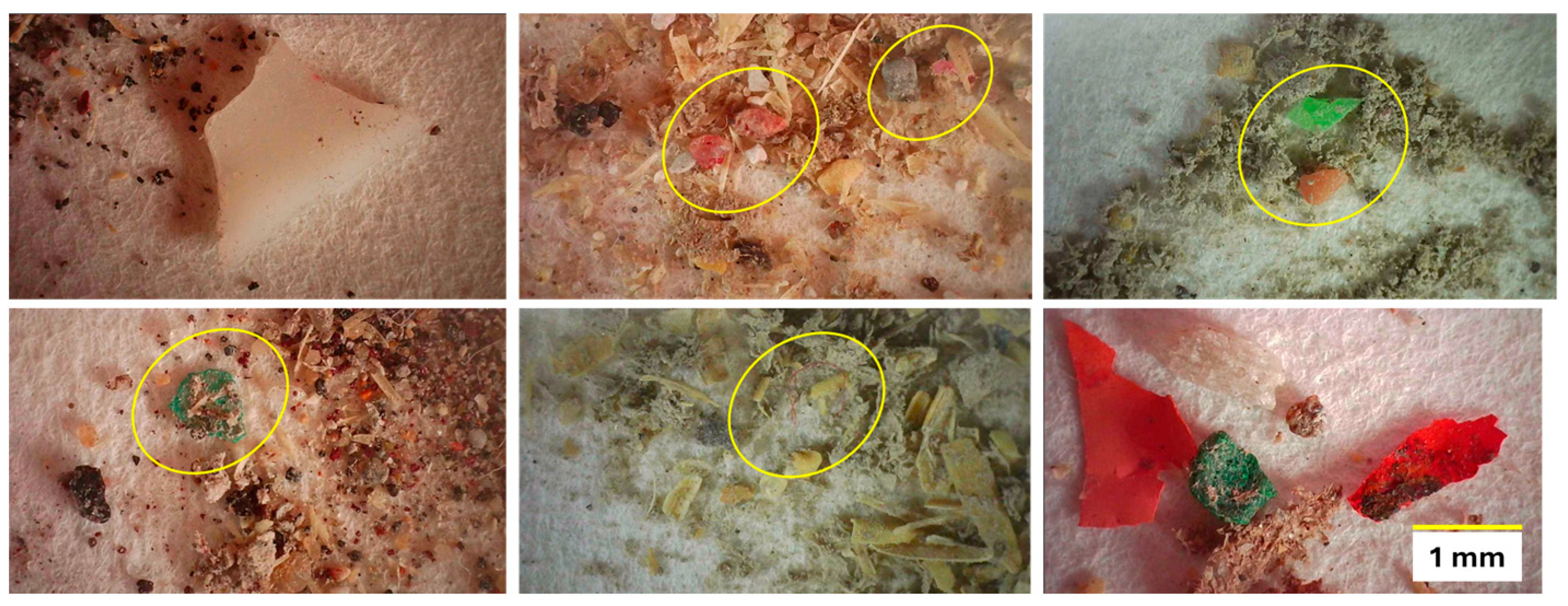 Microplastics 04 00006 g004