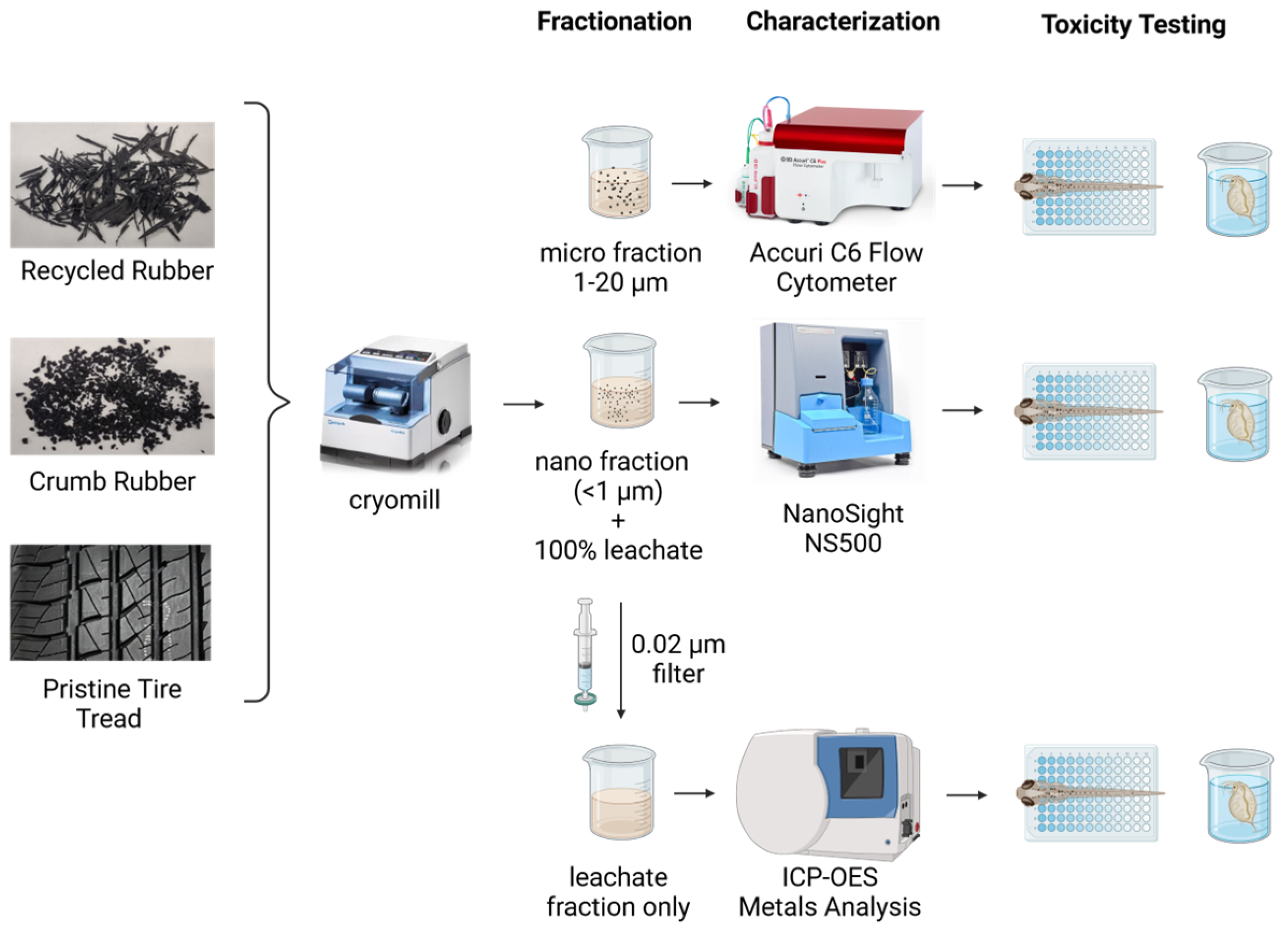 Microplastics 04 00008 g001