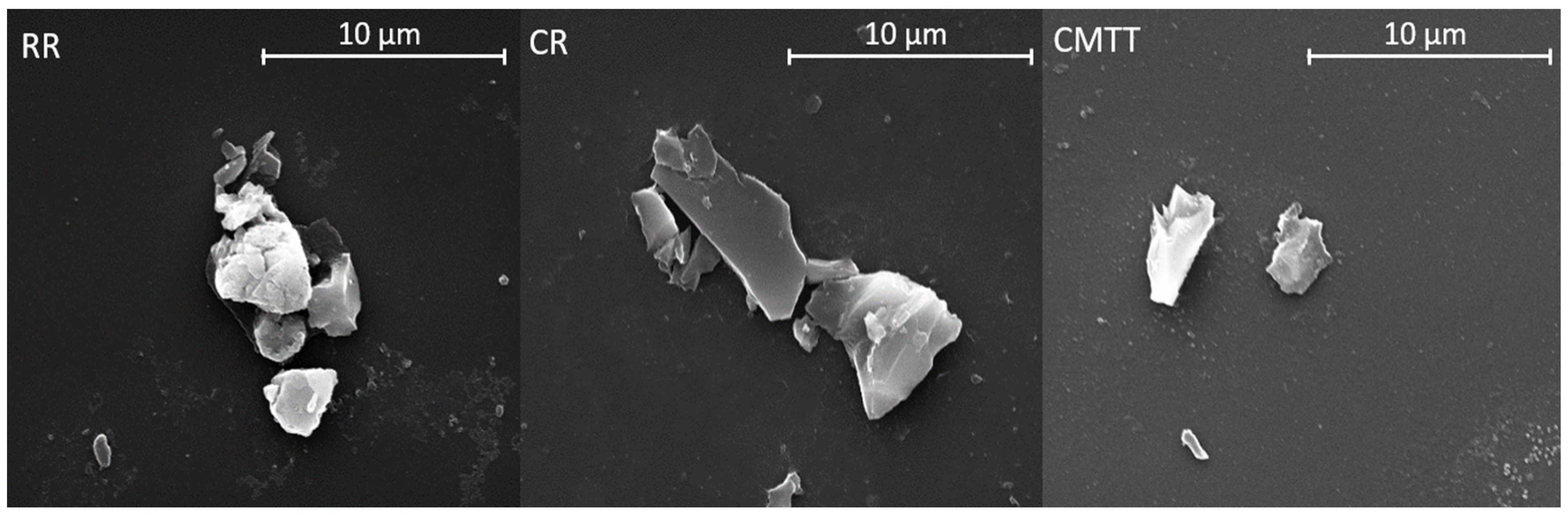 Microplastics 04 00008 g002