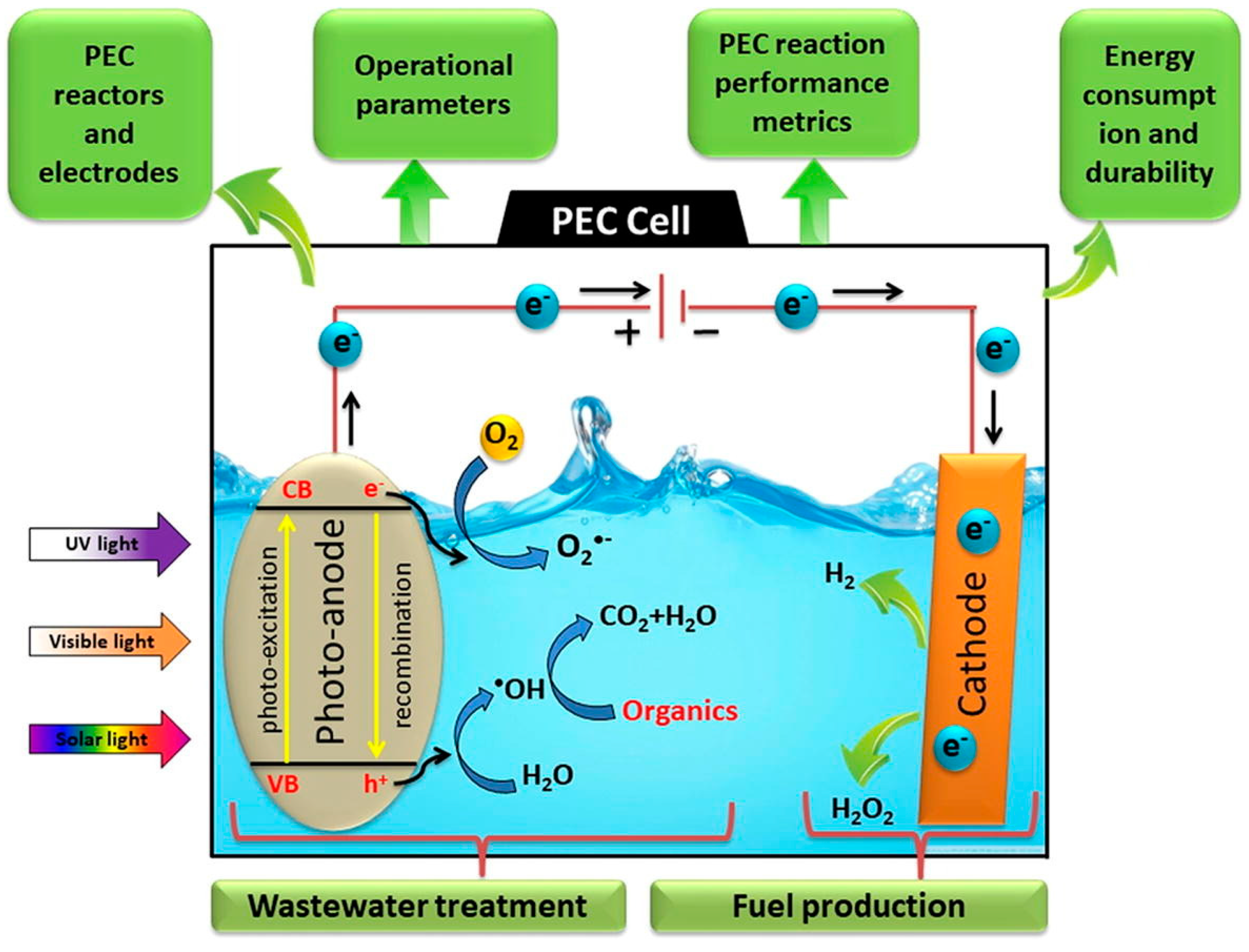 Microplastics 04 00011 g014