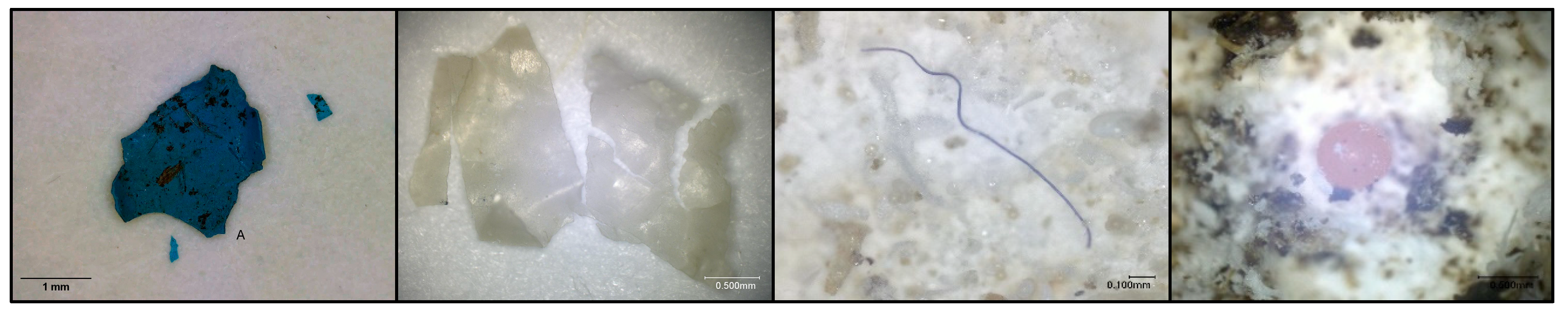 Microplastics 04 00015 g004