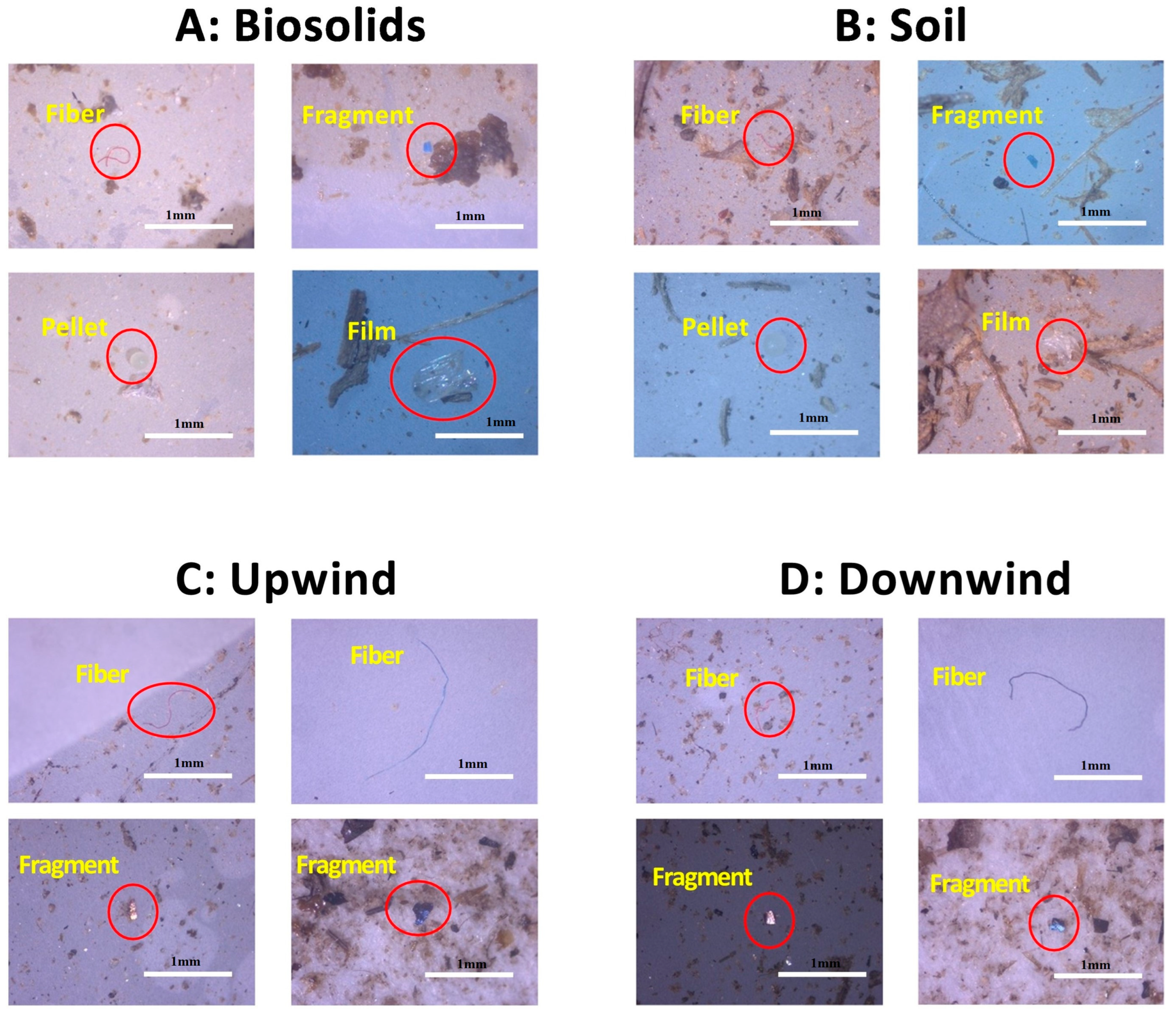 Microplastics 04 00016 g002