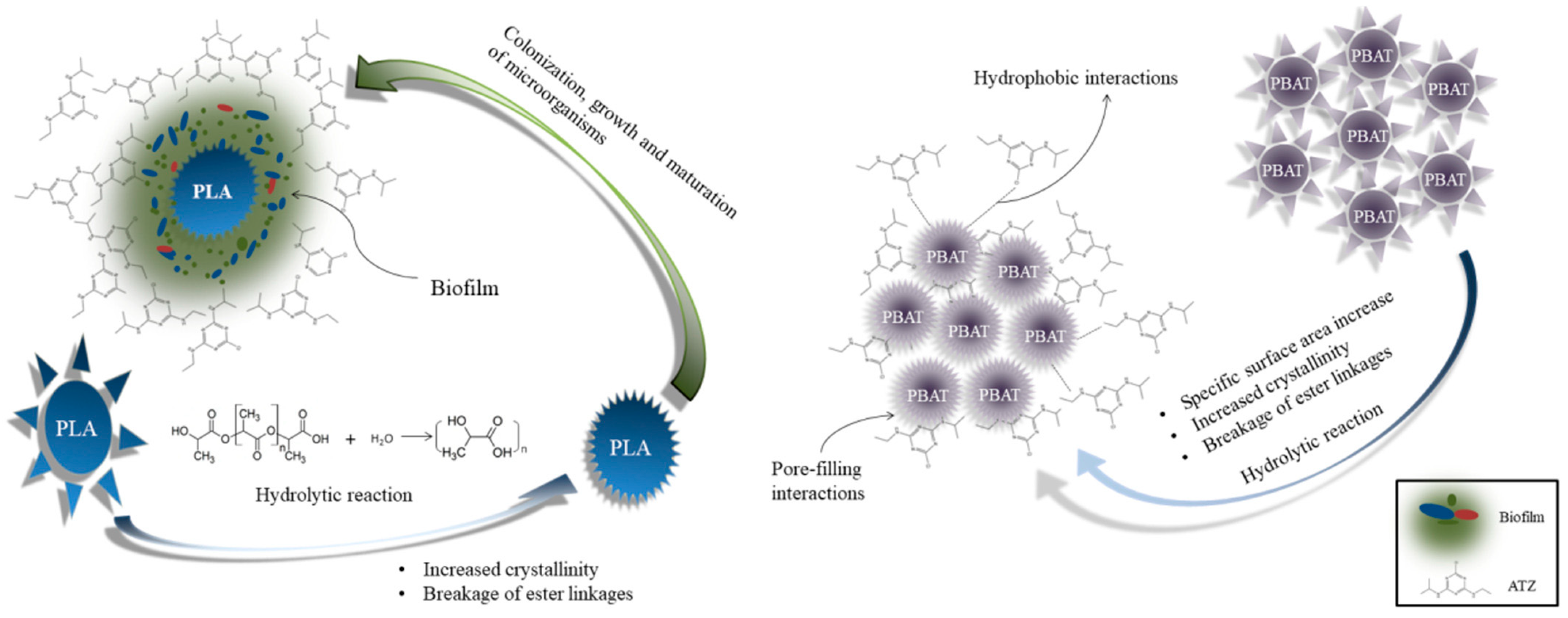 Microplastics 04 00016 g003