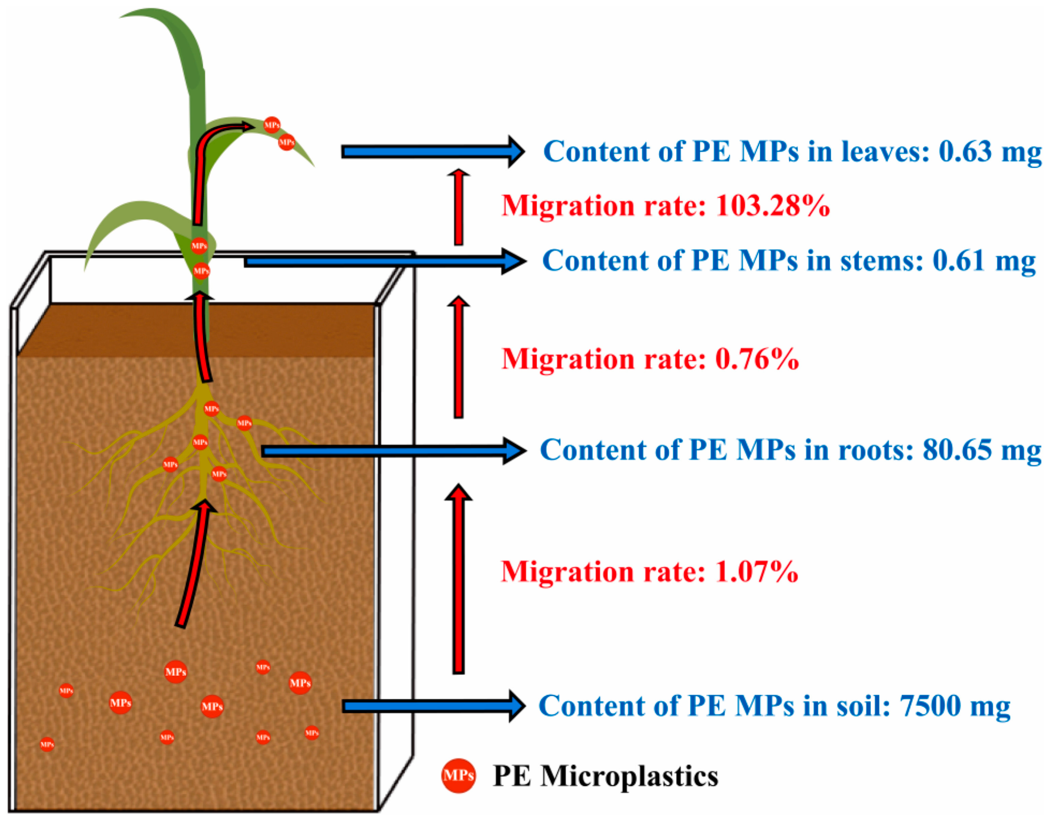 Microplastics 04 00016 g005