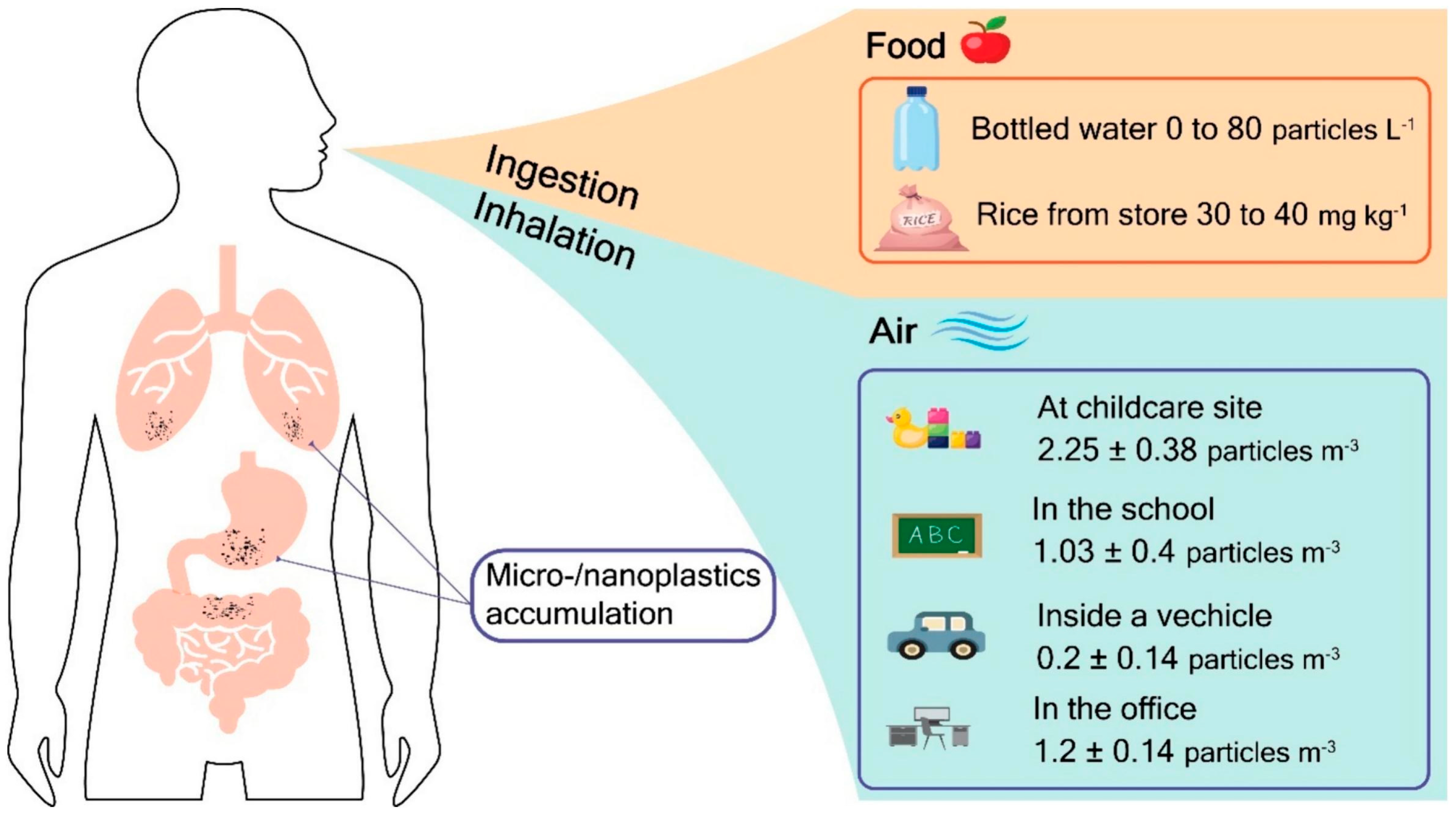 Microplastics 04 00016 g006