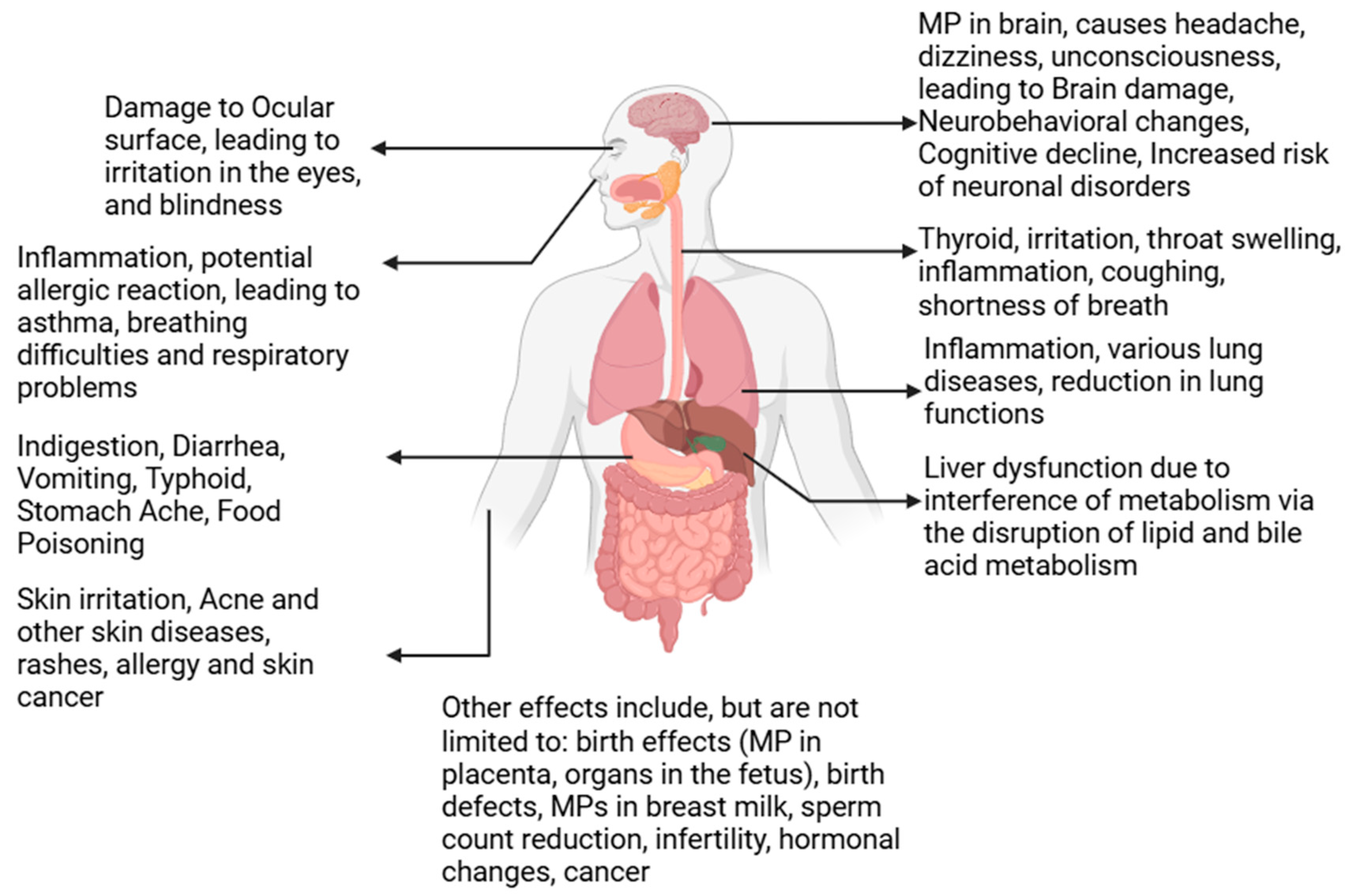 Microplastics 04 00024 g008