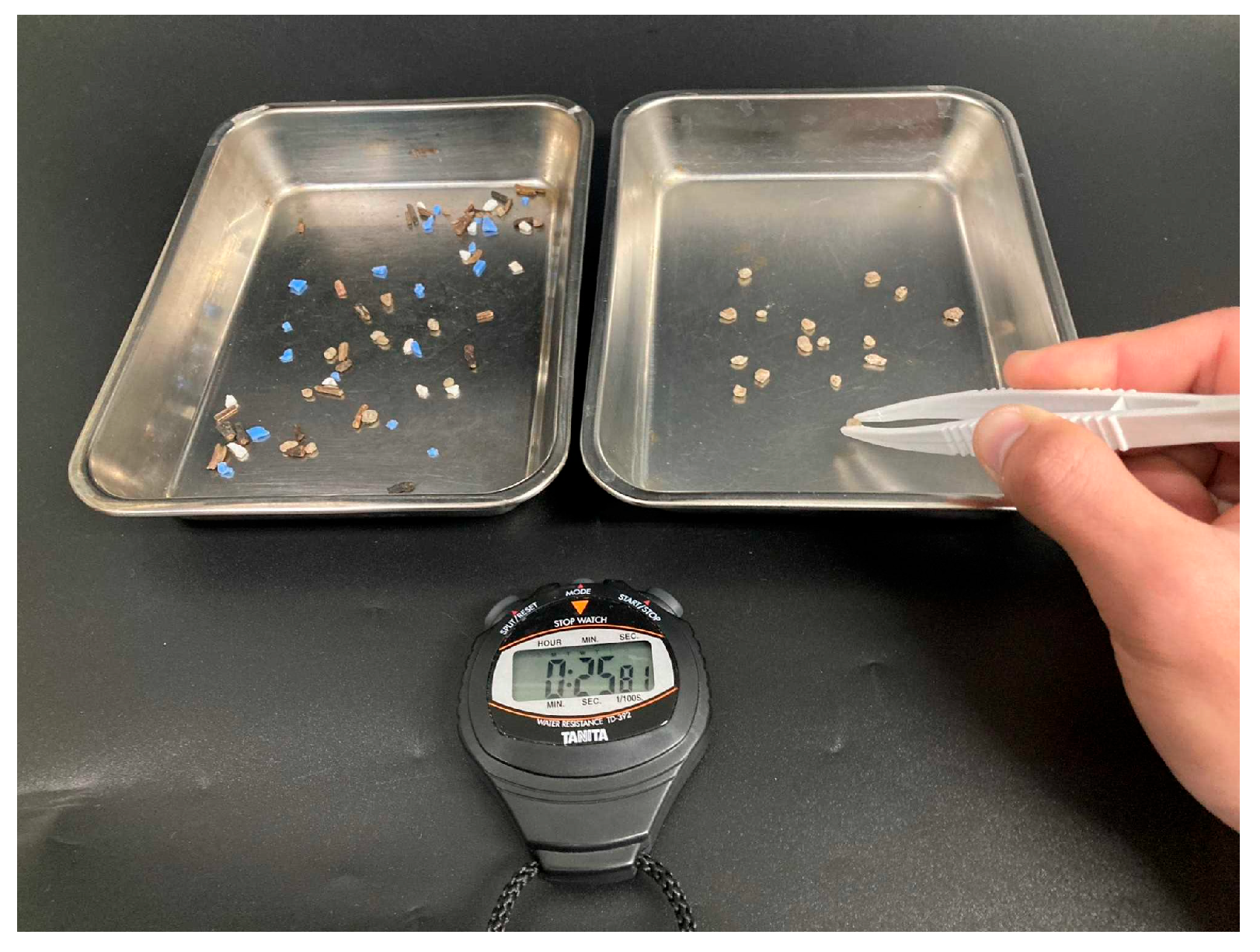 Microplastics 04 00030 g005