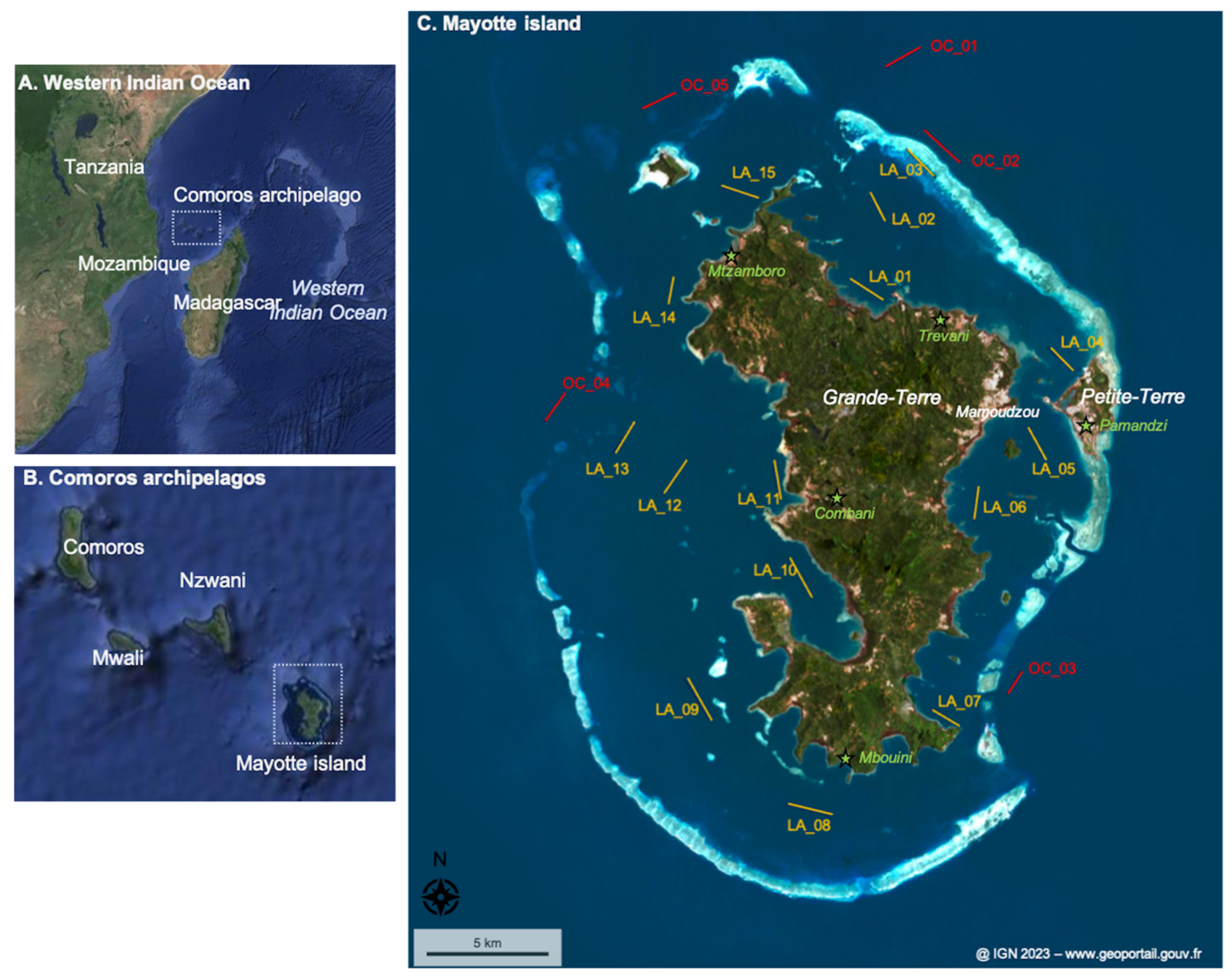 Microplastics 04 00031 g001