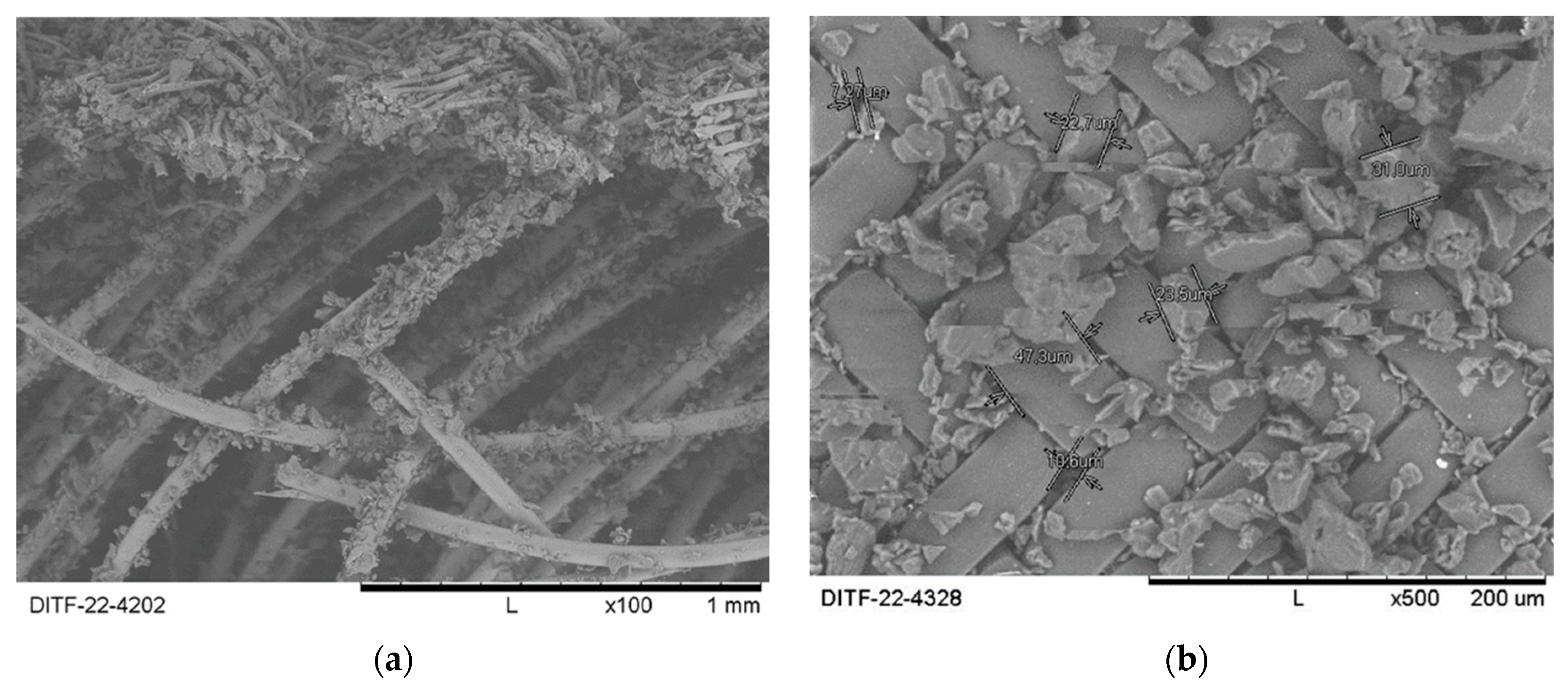 Microplastics 04 00036 g003