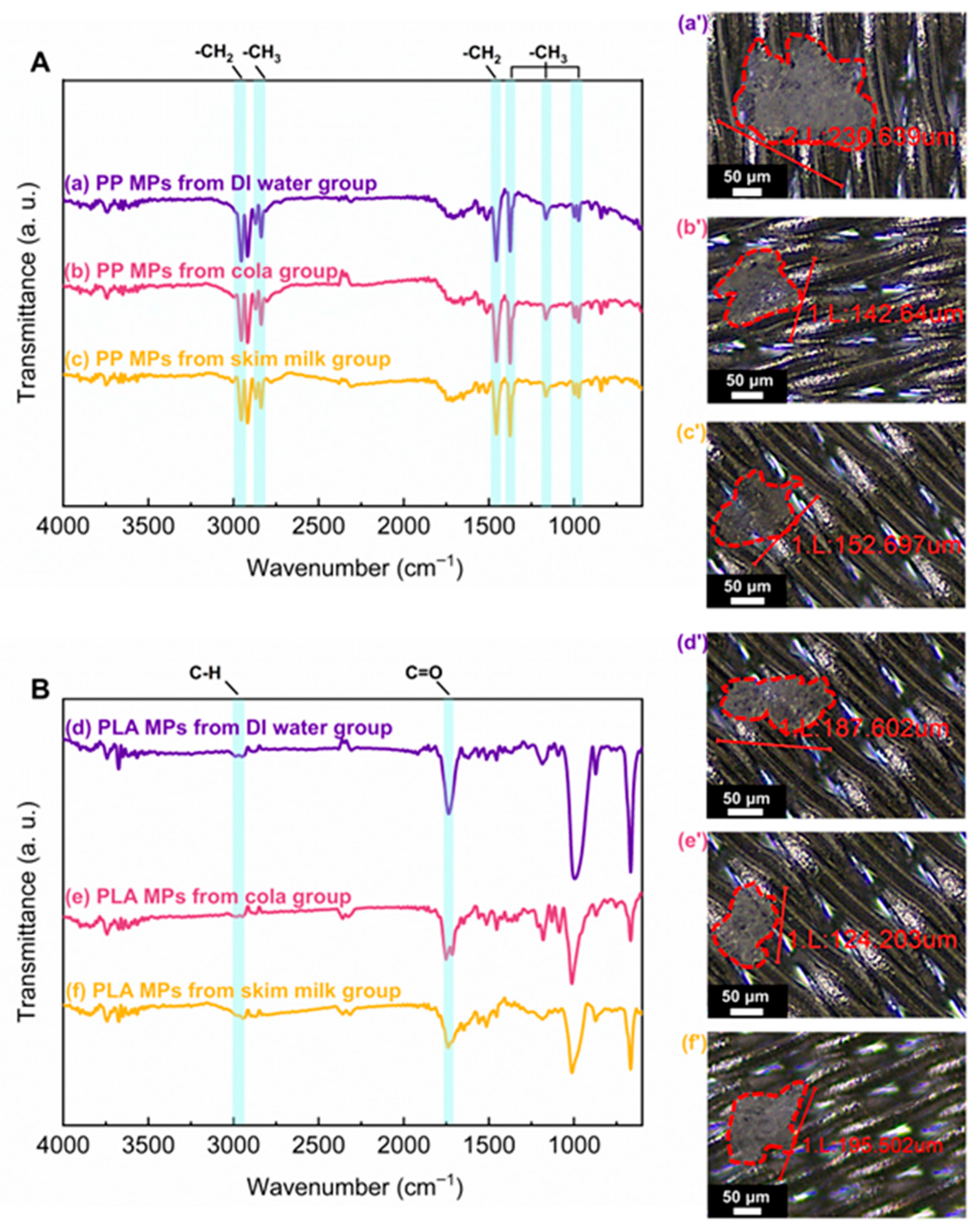 Microplastics 04 00042 g005