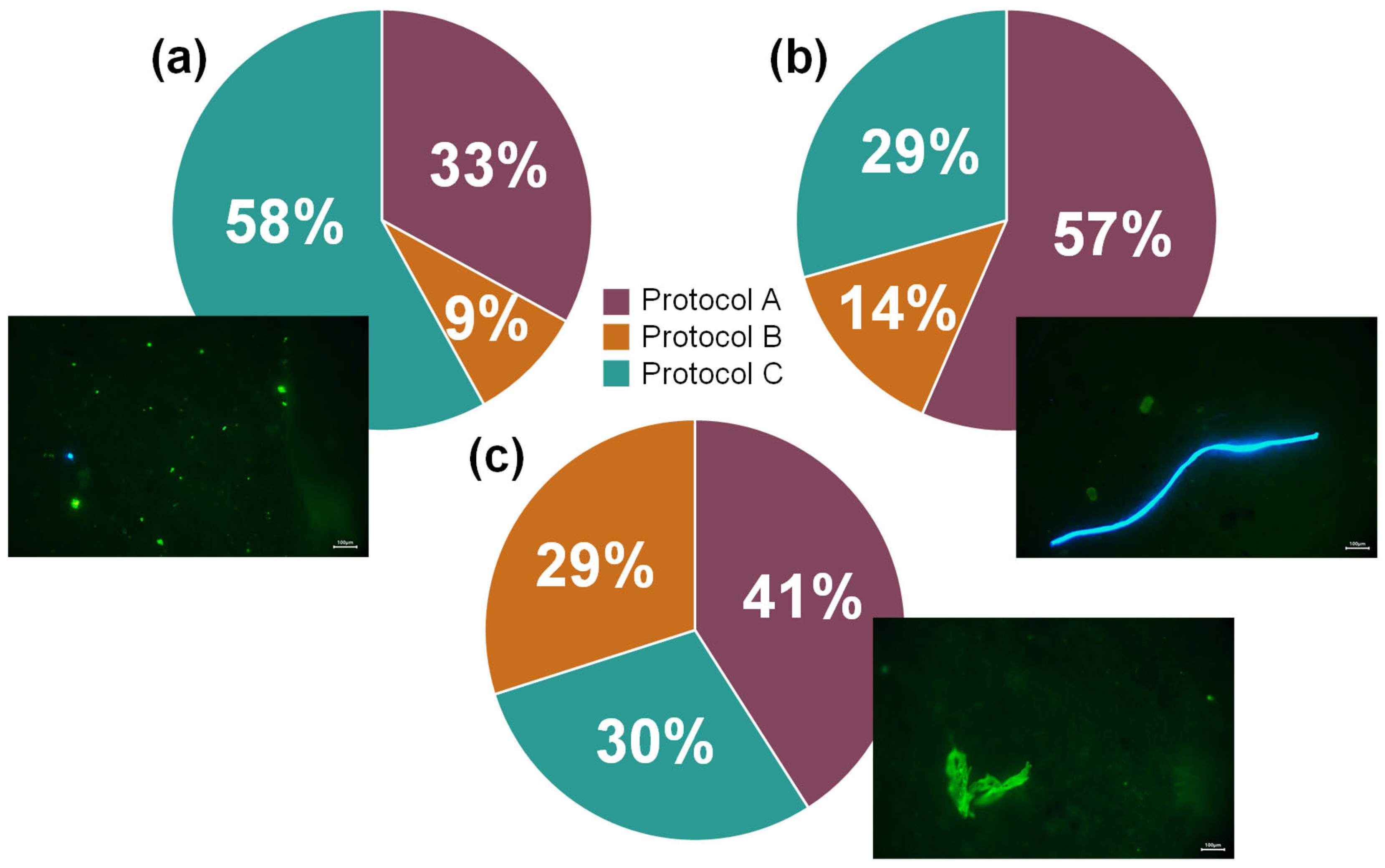 Microplastics 04 00049 g002 Microplastics 04 00049 g002
