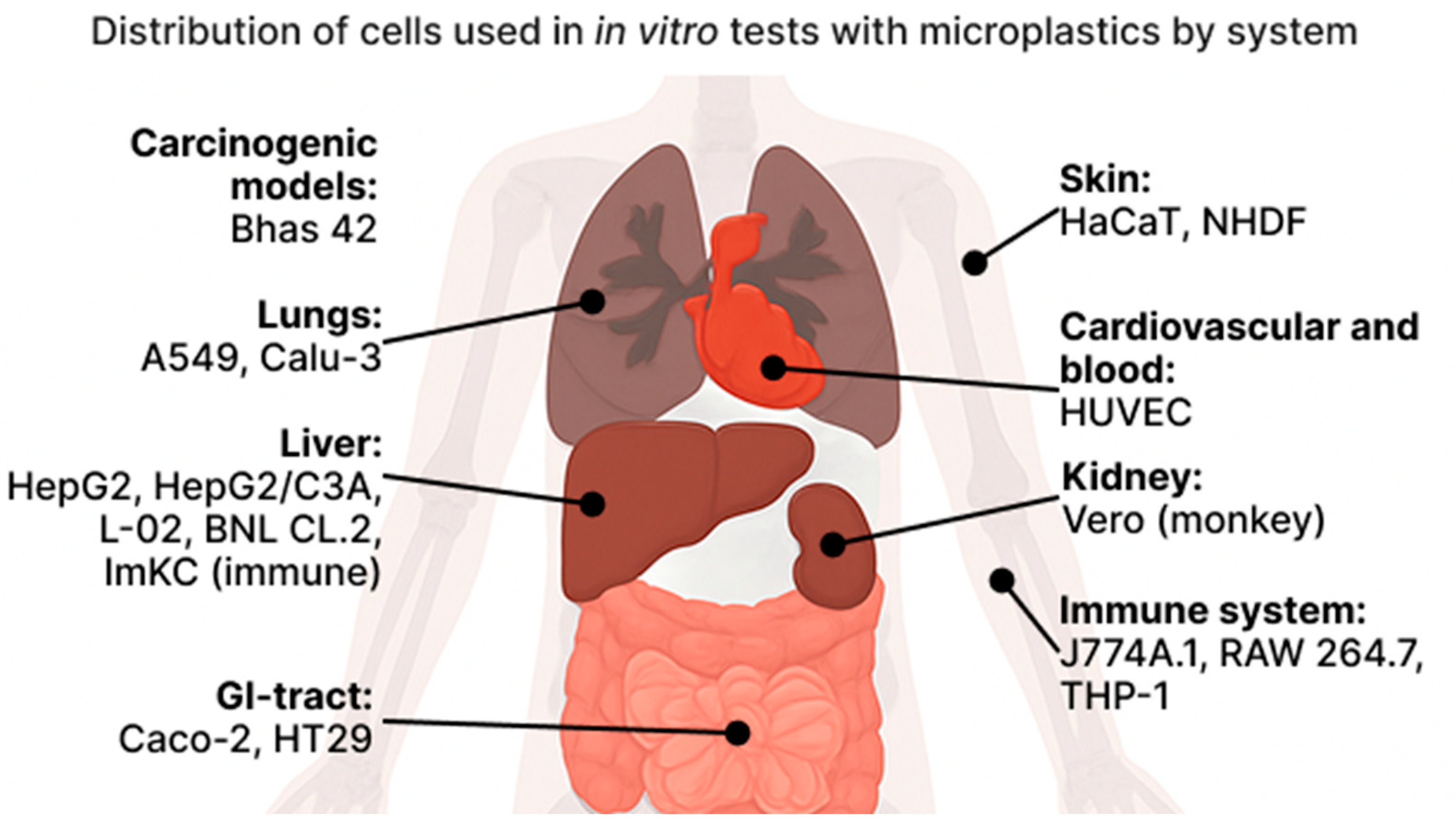 Microplastics 04 00058 g002