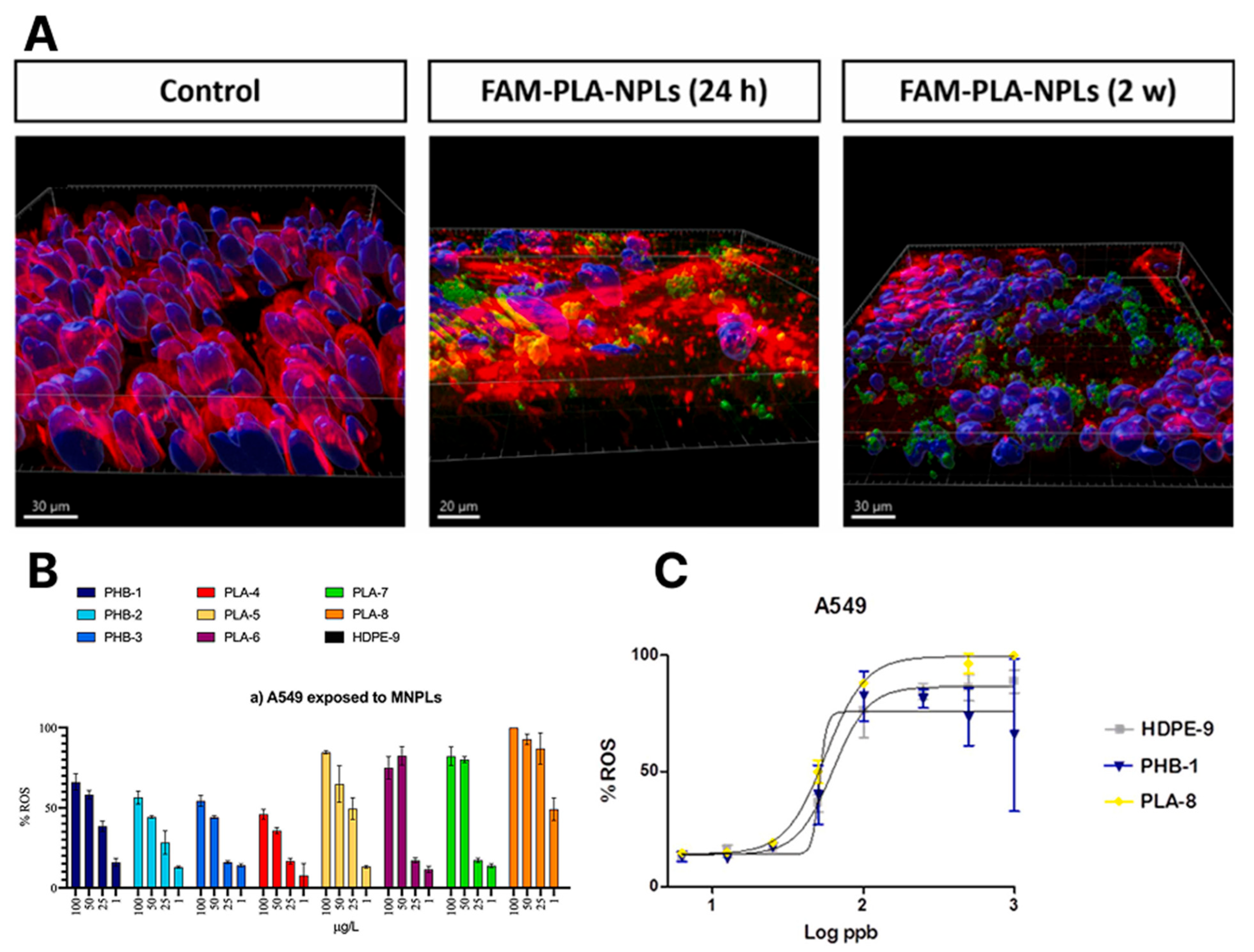 Microplastics 04 00058 g004