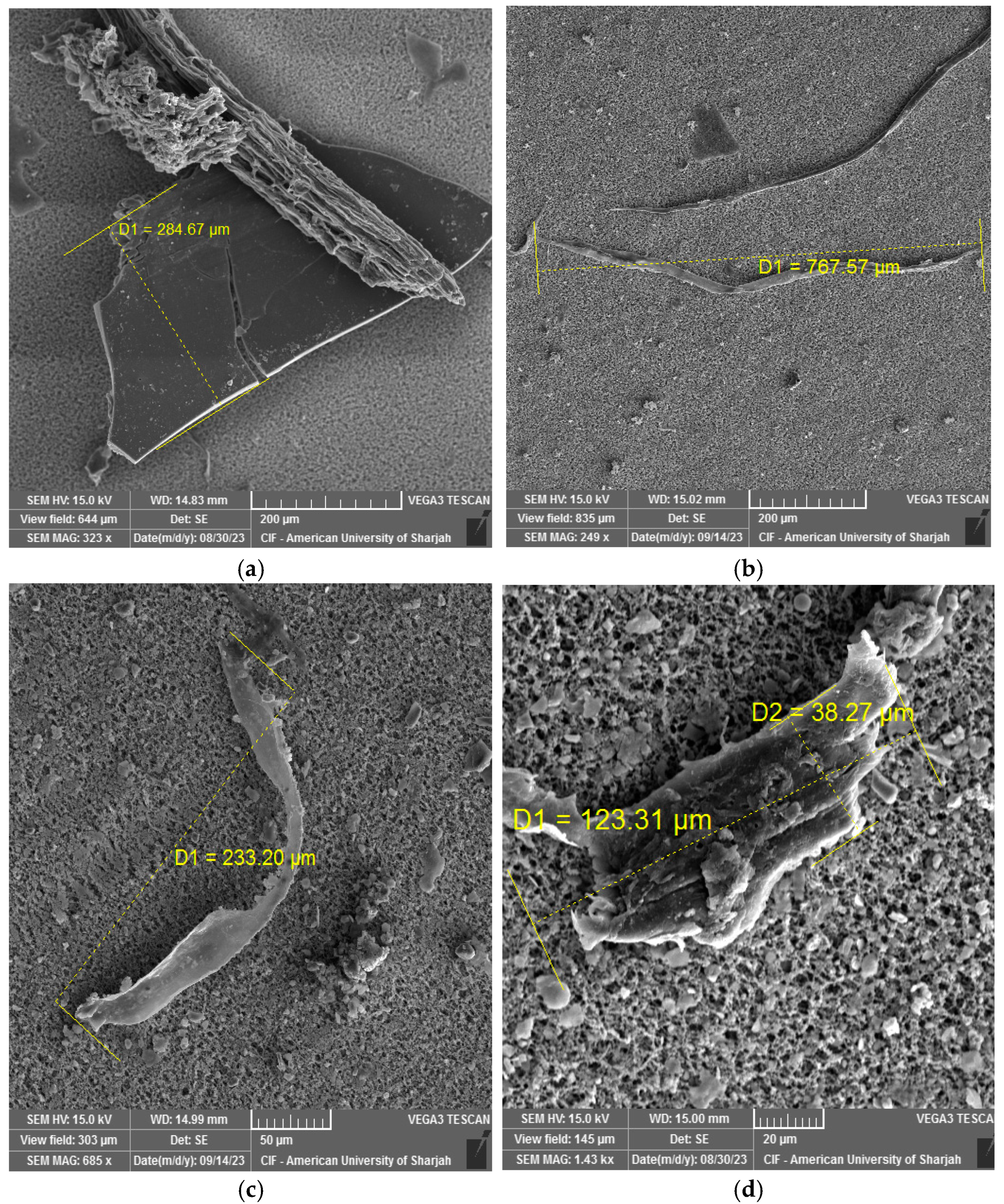 Microplastics 04 00061 g006 Microplastics 04 00061 g006