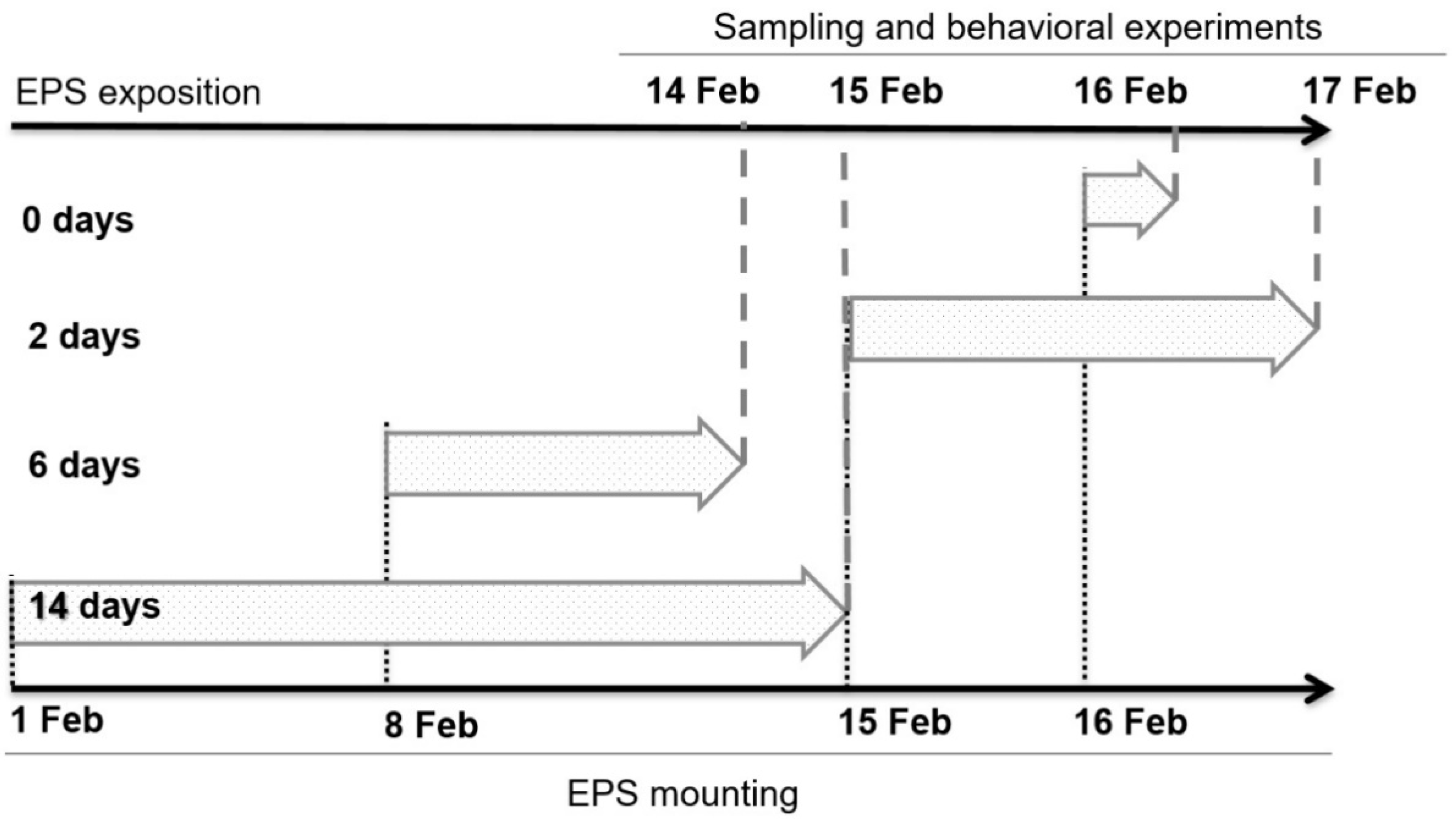 Microplastics 04 00062 g003
