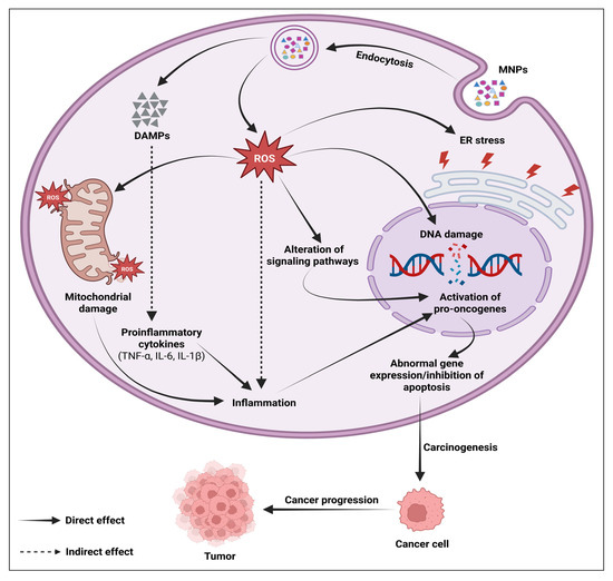 glutathione microplastics Polystyrene microplastic-induced pathophysiology is driven by disruption of  efferocytosis: Immunity