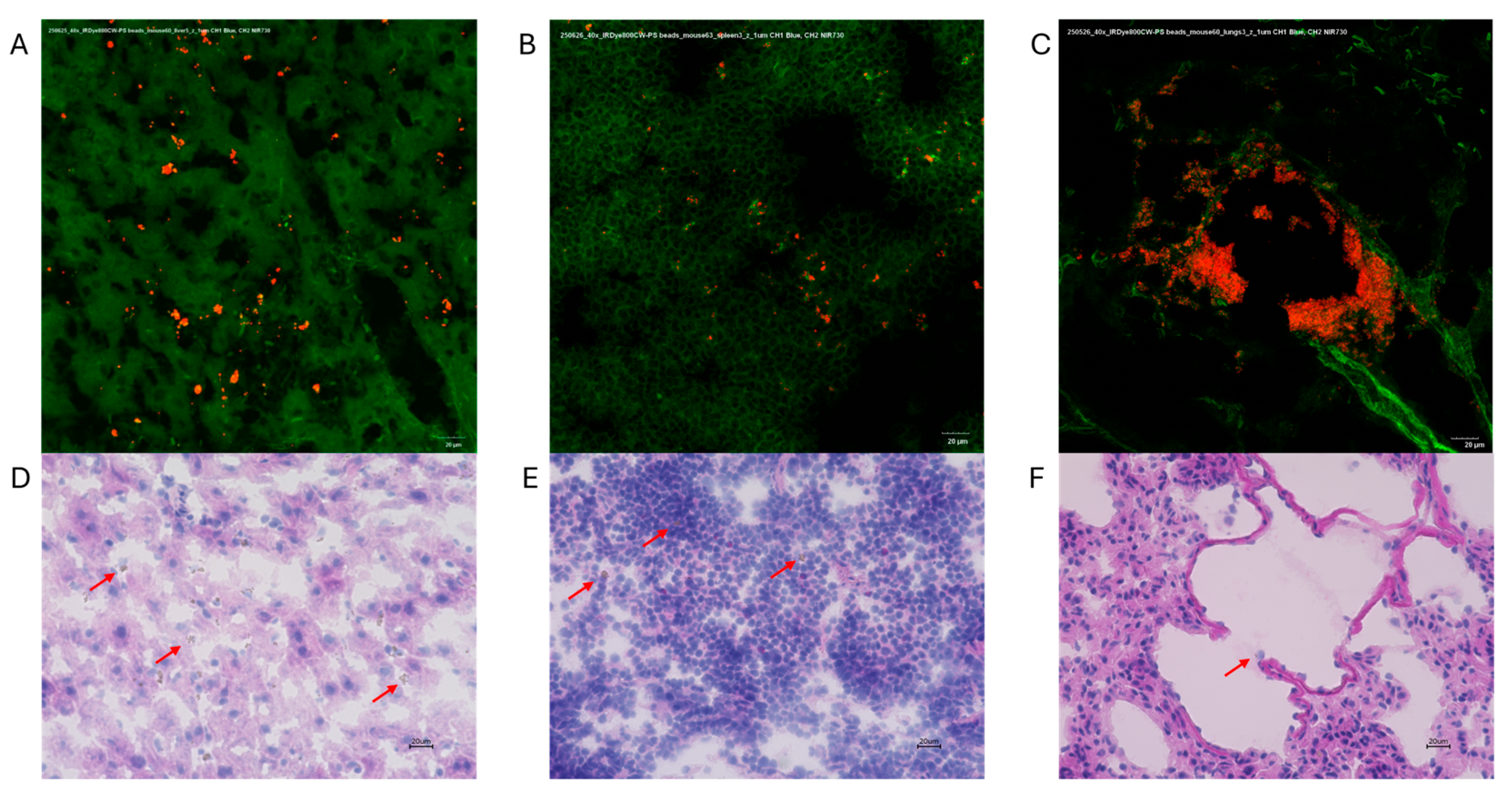 Microplastics 04 00084 g009 Microplastics 04 00084 g009