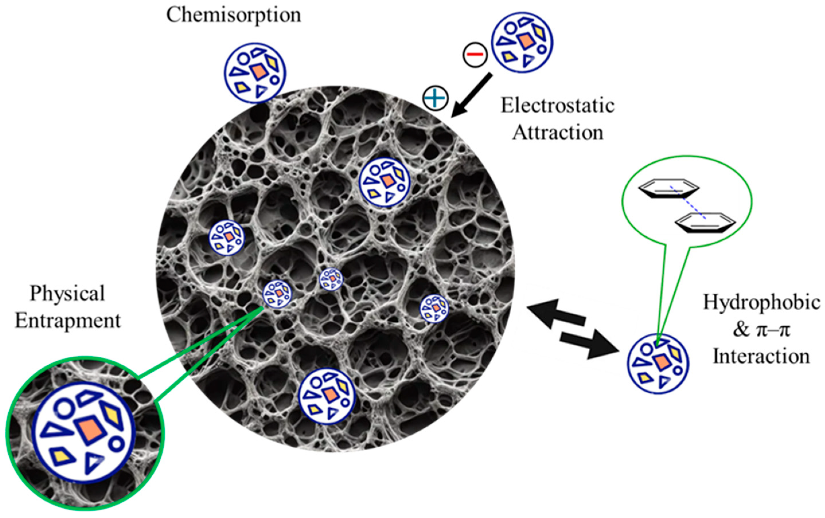Microplastics 04 00099 g006
