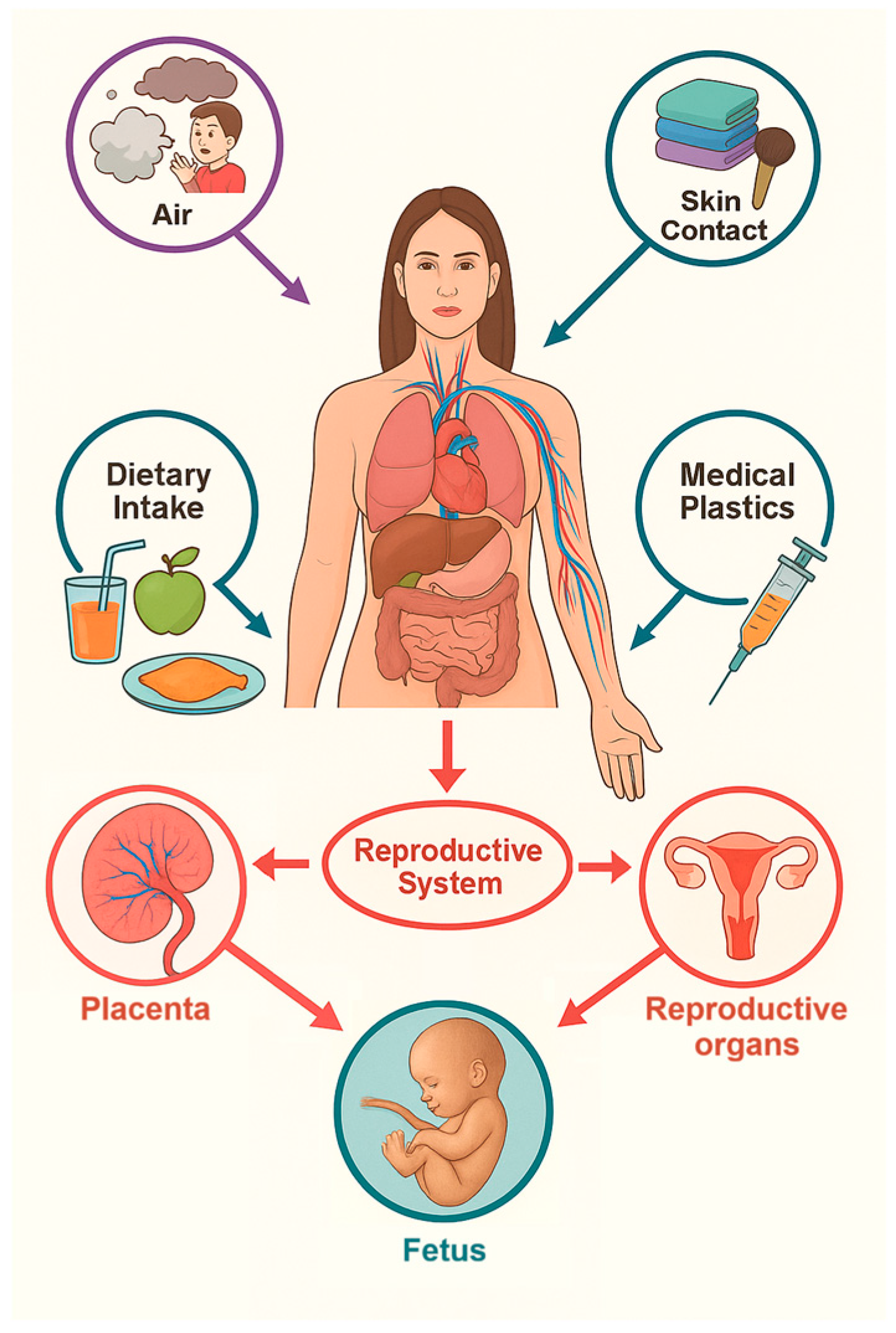 Microplastics 05 00003 g001