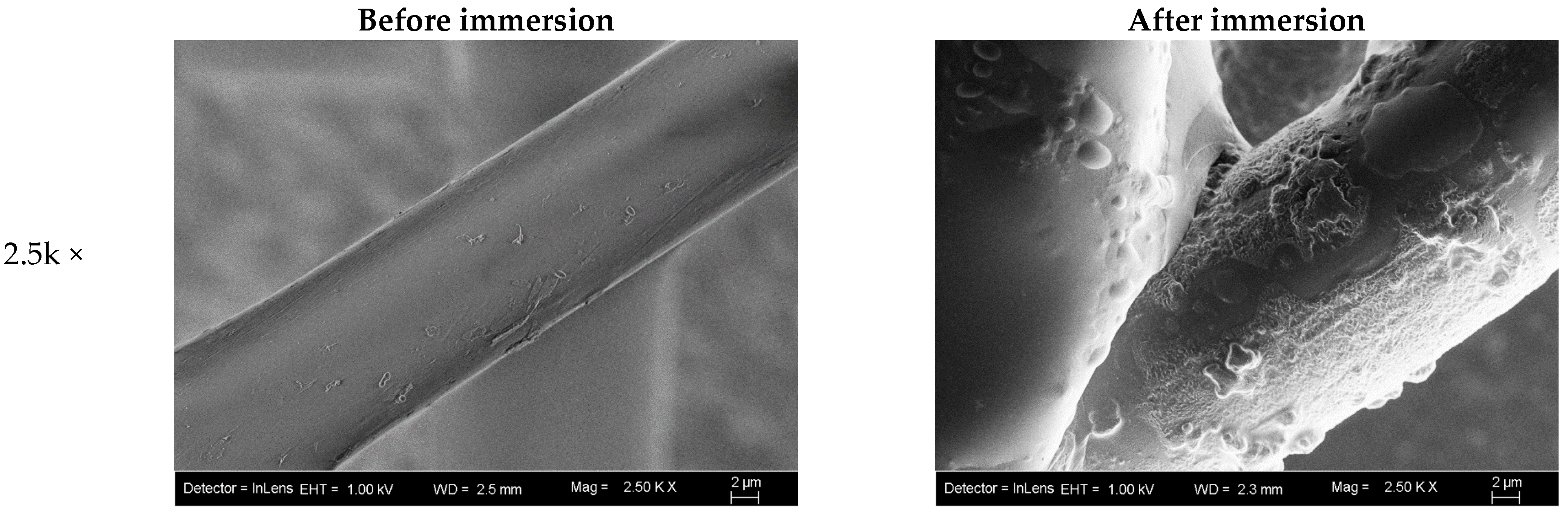 Microplastics 05 00007 g005
