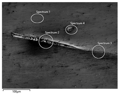 Microplastics 05 00007 i001